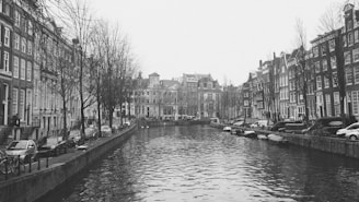 a bridge over a body of water with a city in the background