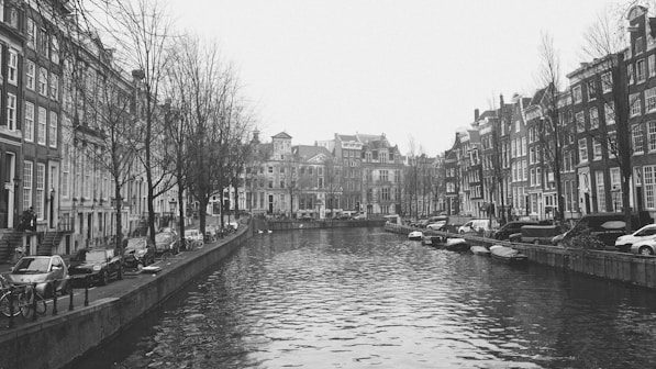 a bridge over a body of water with a city in the background