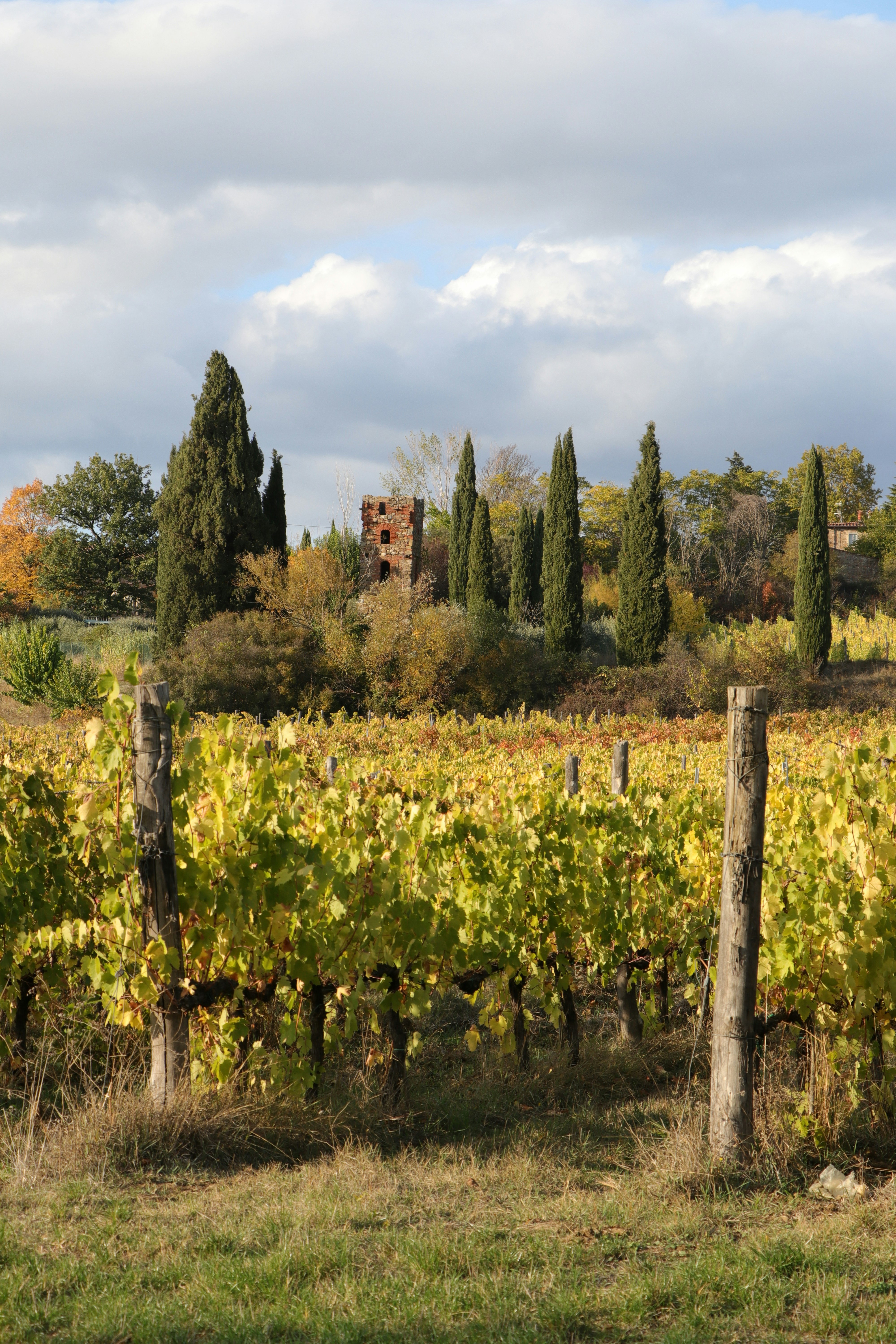 Photo by giuseppe_fattore