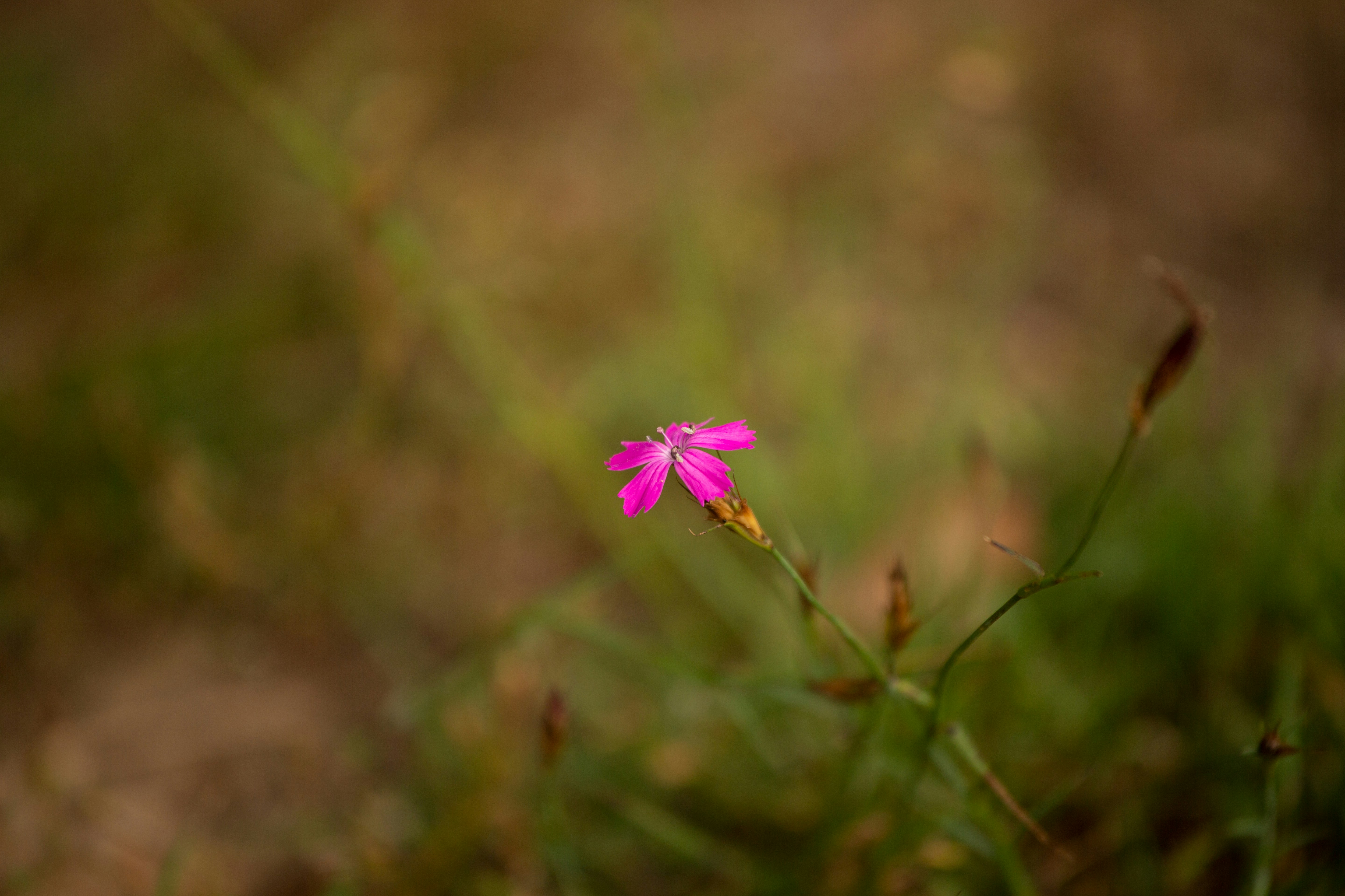 The Untold Story of Asia’s Legendary Hedge Fund: Simon Sadler’s Segantii Unveiled