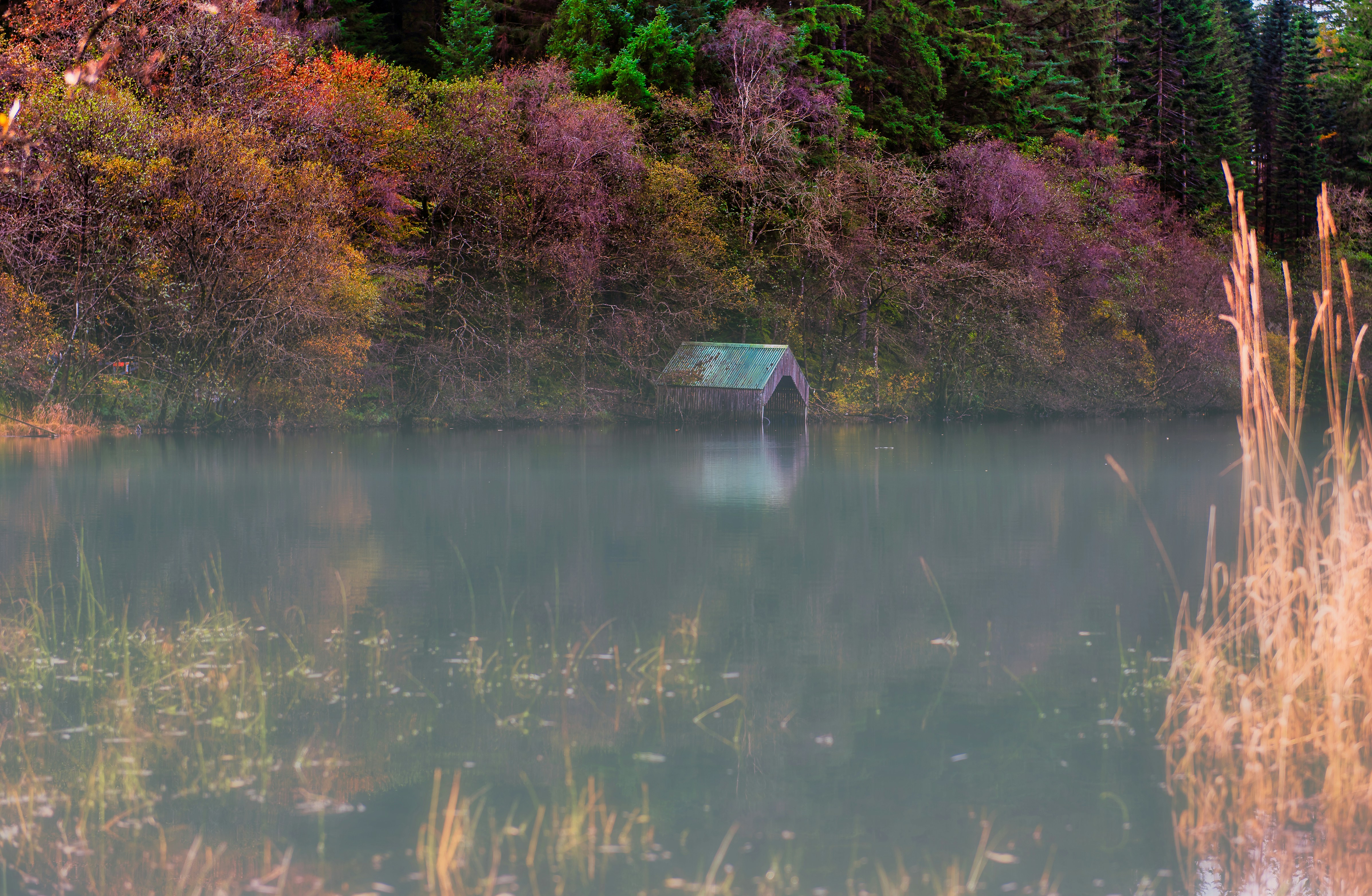 Photo by abphotography