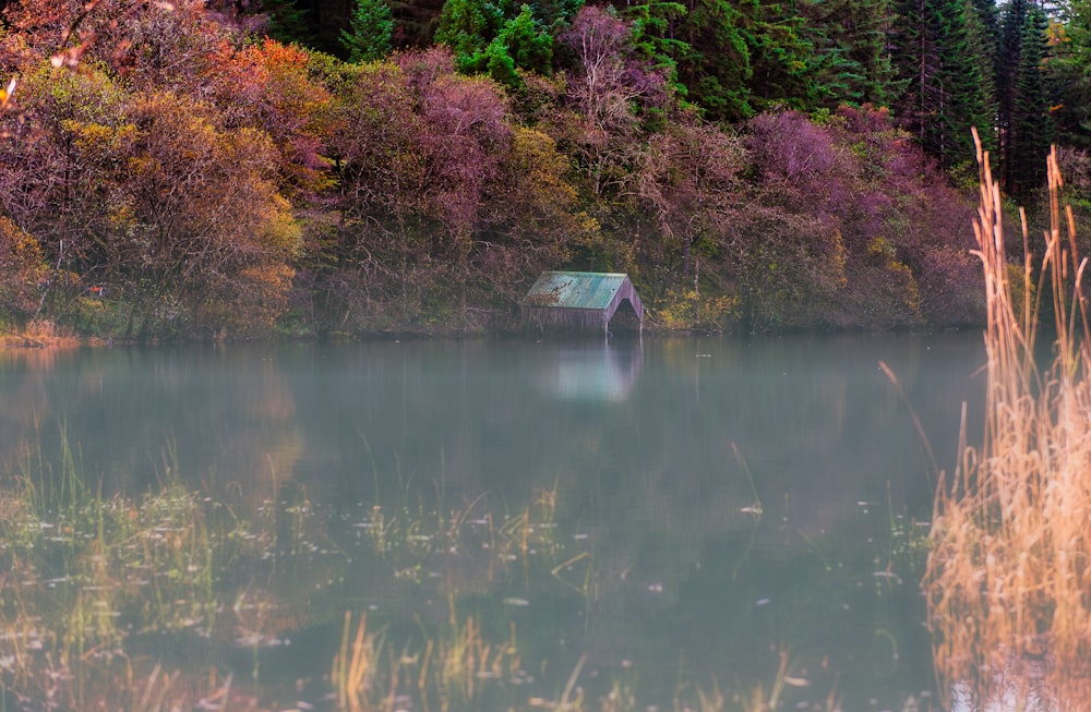 a house on a lake surrounded by trees