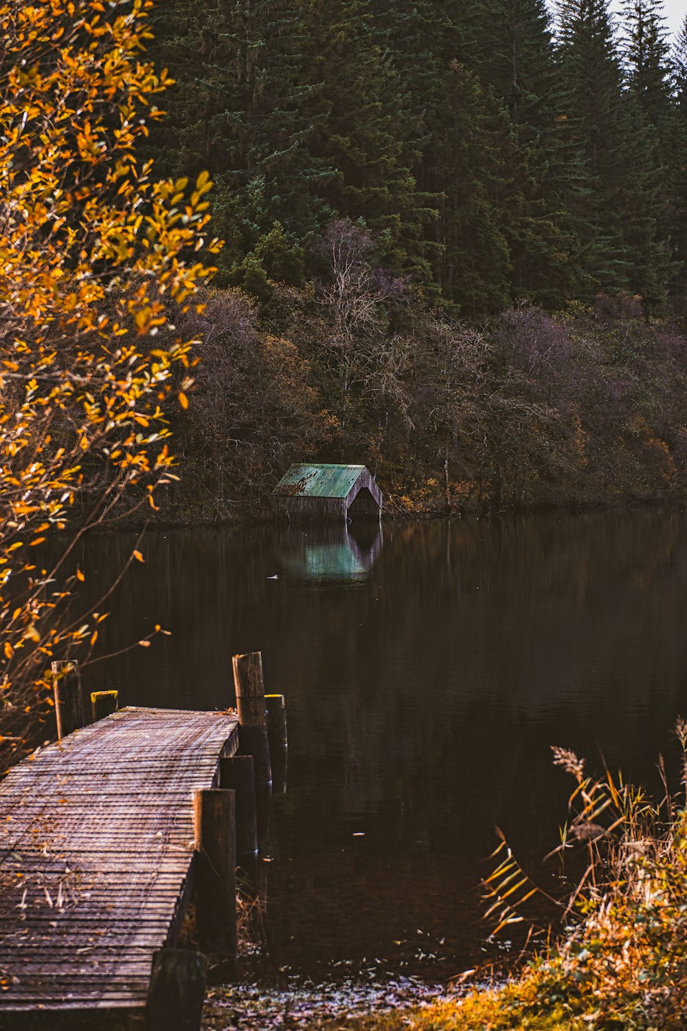 a wooden dock sitting on top of a lake next to a forest