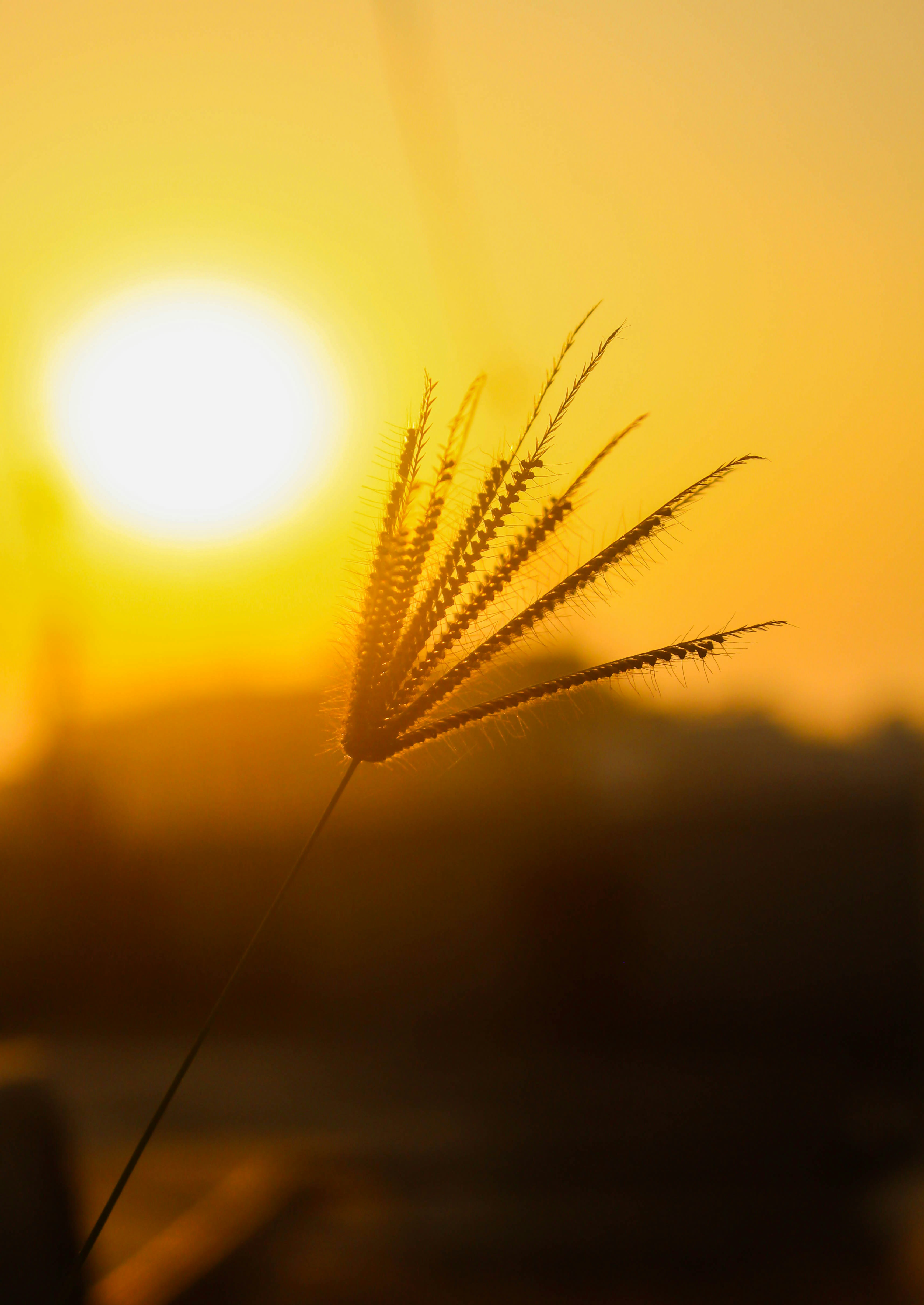 Photo by sadeque2204