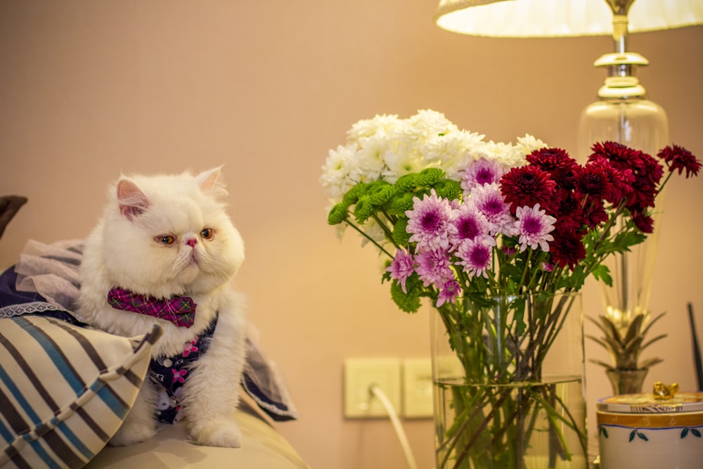 a white cat sitting on top of a couch next to a vase of flowers