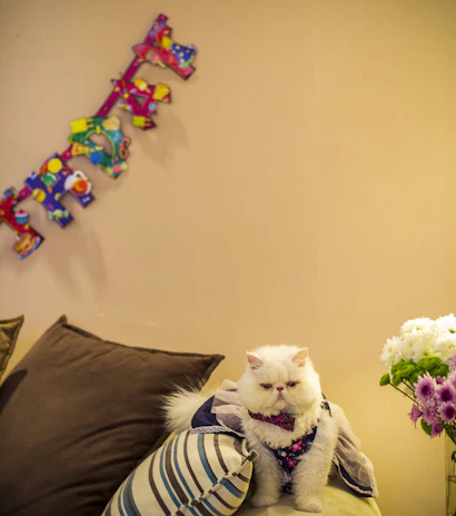 A playful cat dressed in a vibrant handmade dress, lounging on a cozy cushion.