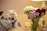 A white Persian cat with a pink and purple bow tie is sitting on a cushion beside a bouquet of colorful flowers in a glass vase. The flowers include white, green, purple, and deep red blooms. A decorative lamp provides a warm light in the background.