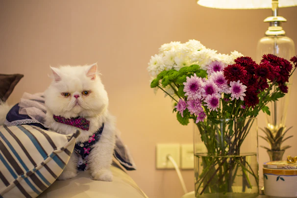 A stylish cat with a pink bow tie collar posing on a soft pastel cushion.