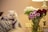 A white Persian cat with a pink and purple bow tie is sitting on a cushion beside a bouquet of colorful flowers in a glass vase. The flowers include white, green, purple, and deep red blooms. A decorative lamp provides a warm light in the background.
