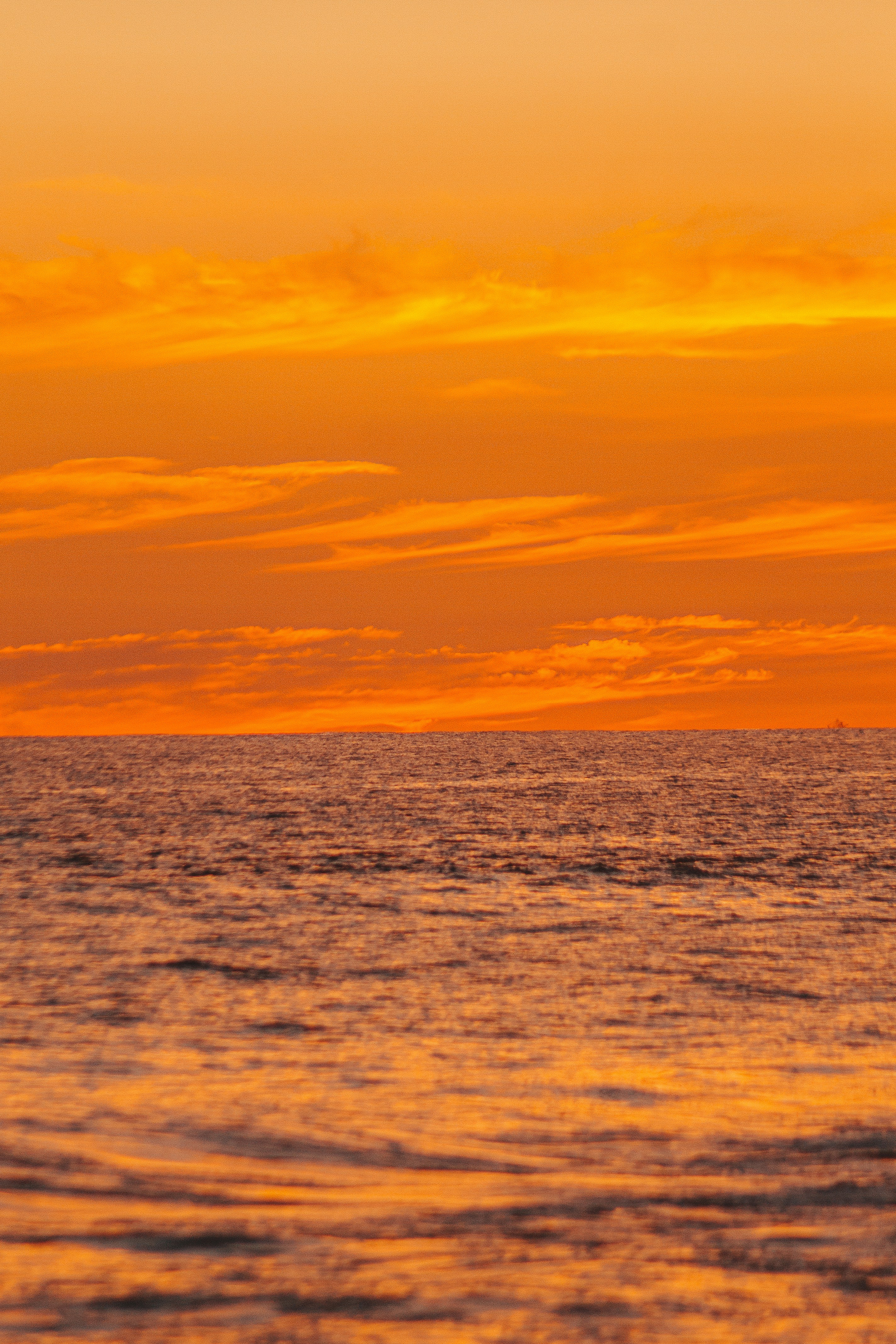 Photo by daniel_castellon20