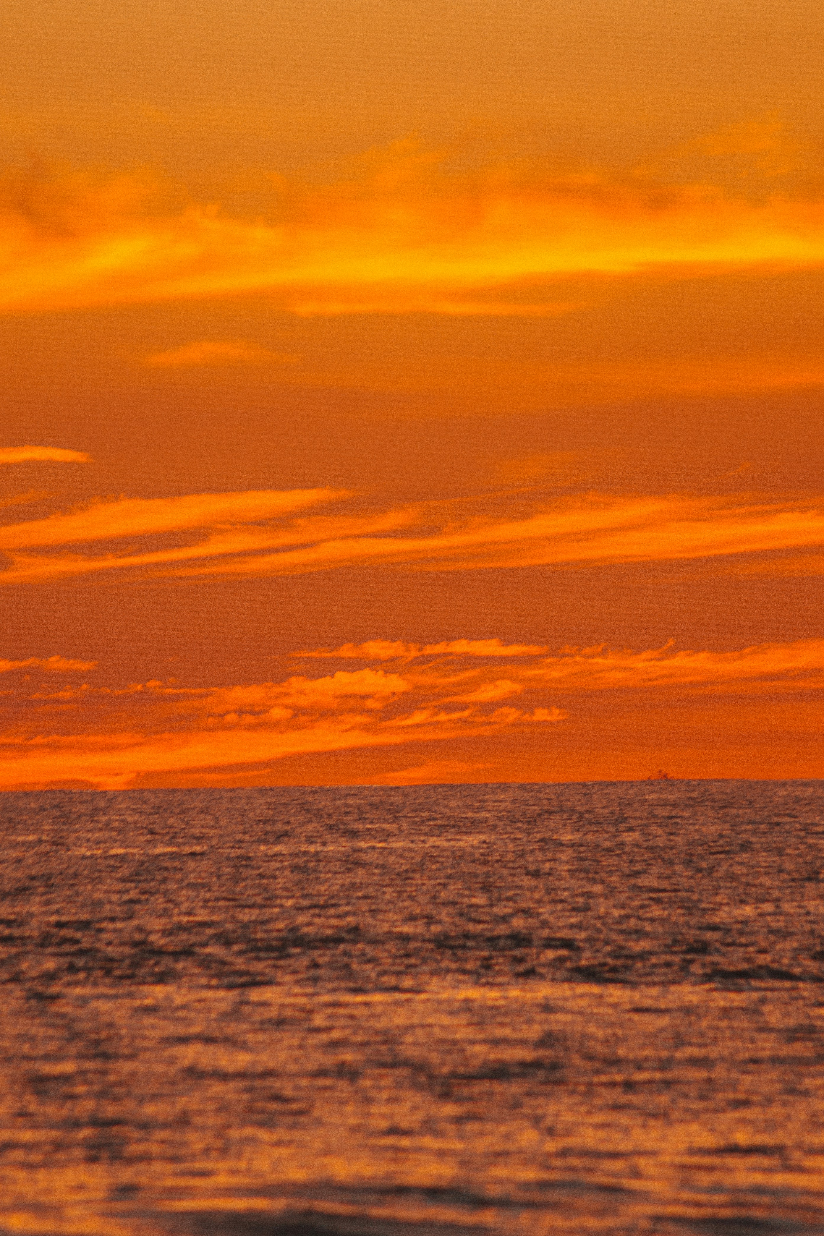 Photo by daniel_castellon20