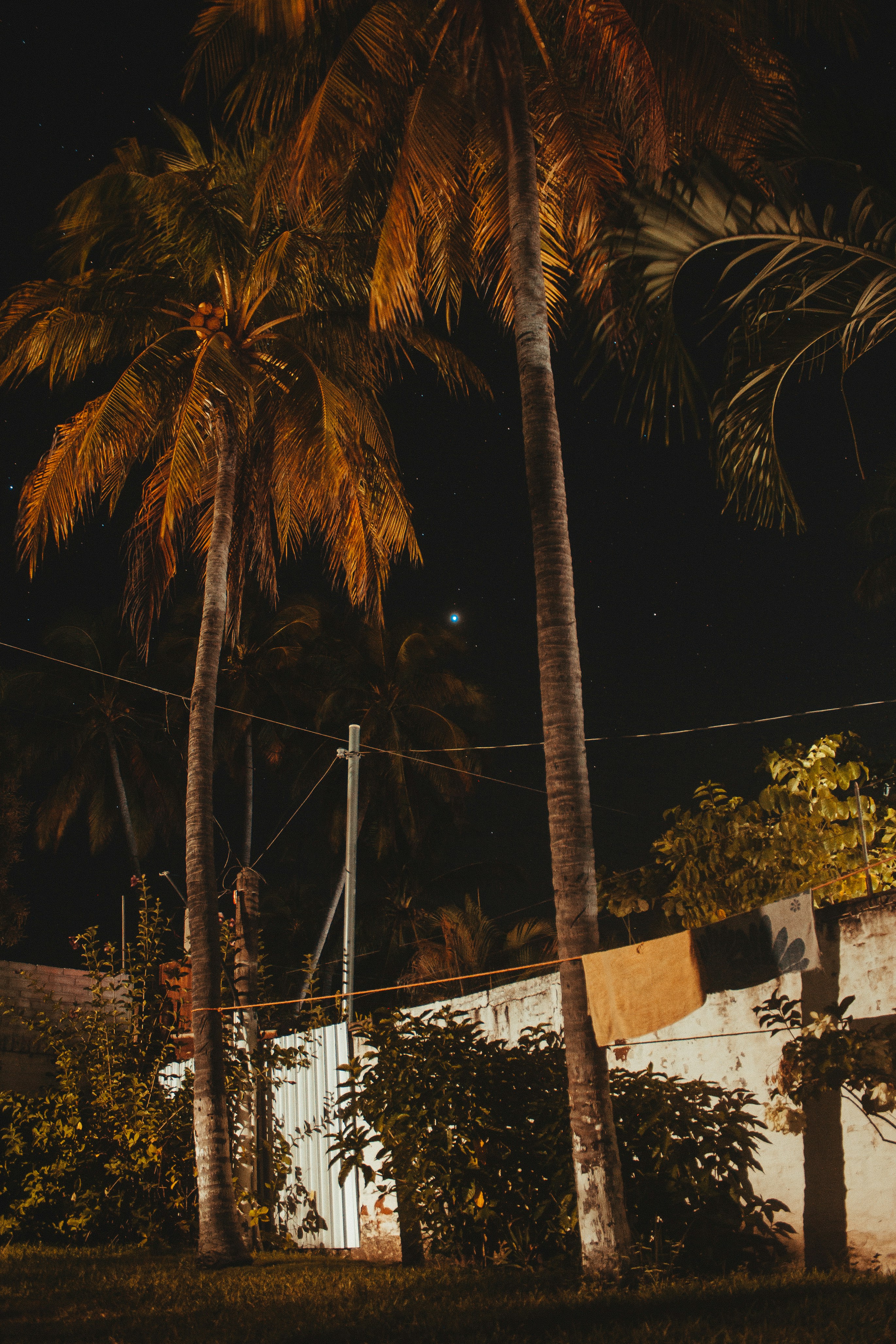 Photo by daniel_castellon20