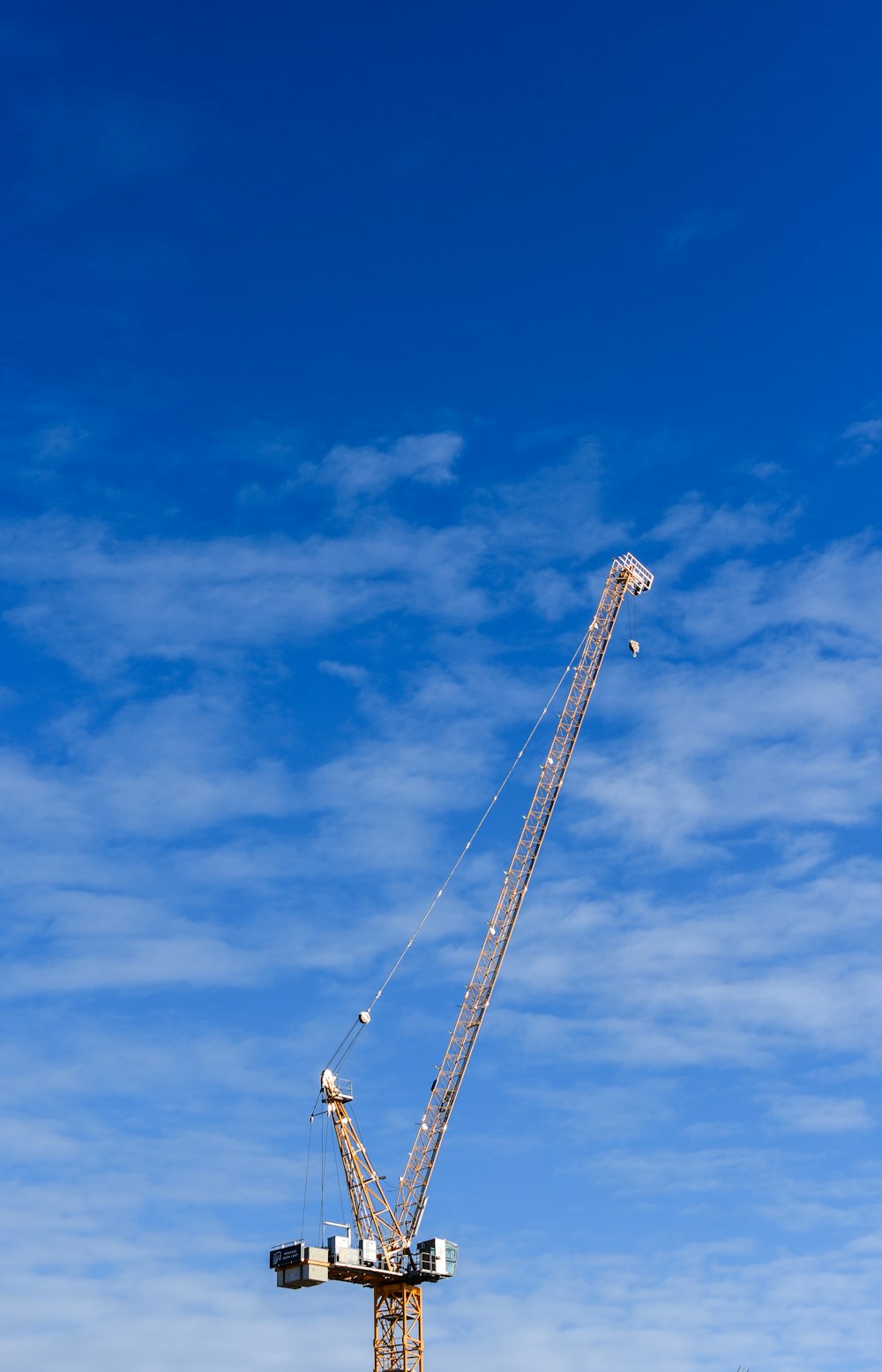 a crane is standing in the middle of a field
