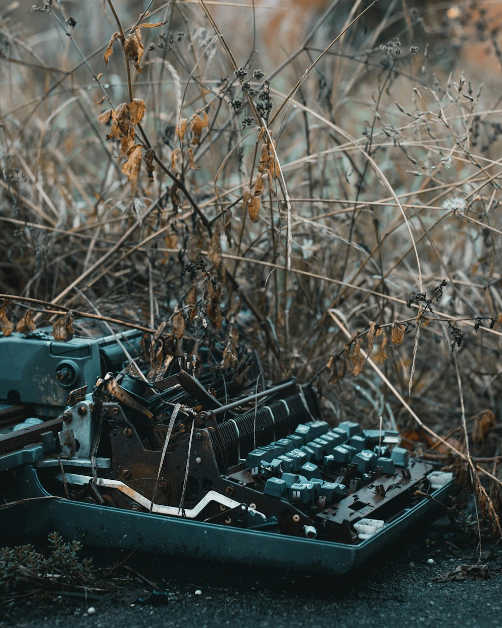 an old typewriter sitting in the middle of a field
