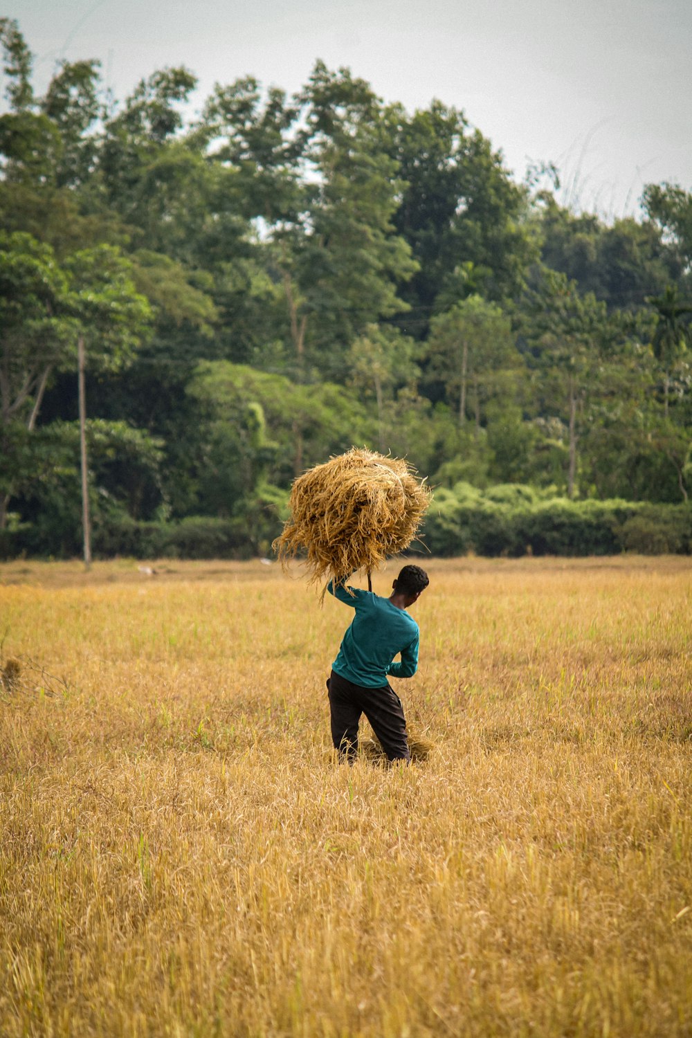 a child standing on a field