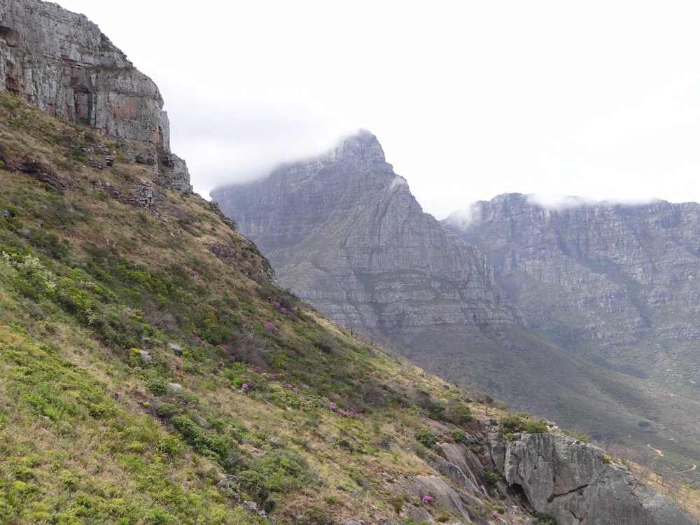 a mountain side with grass and flowers growing on it