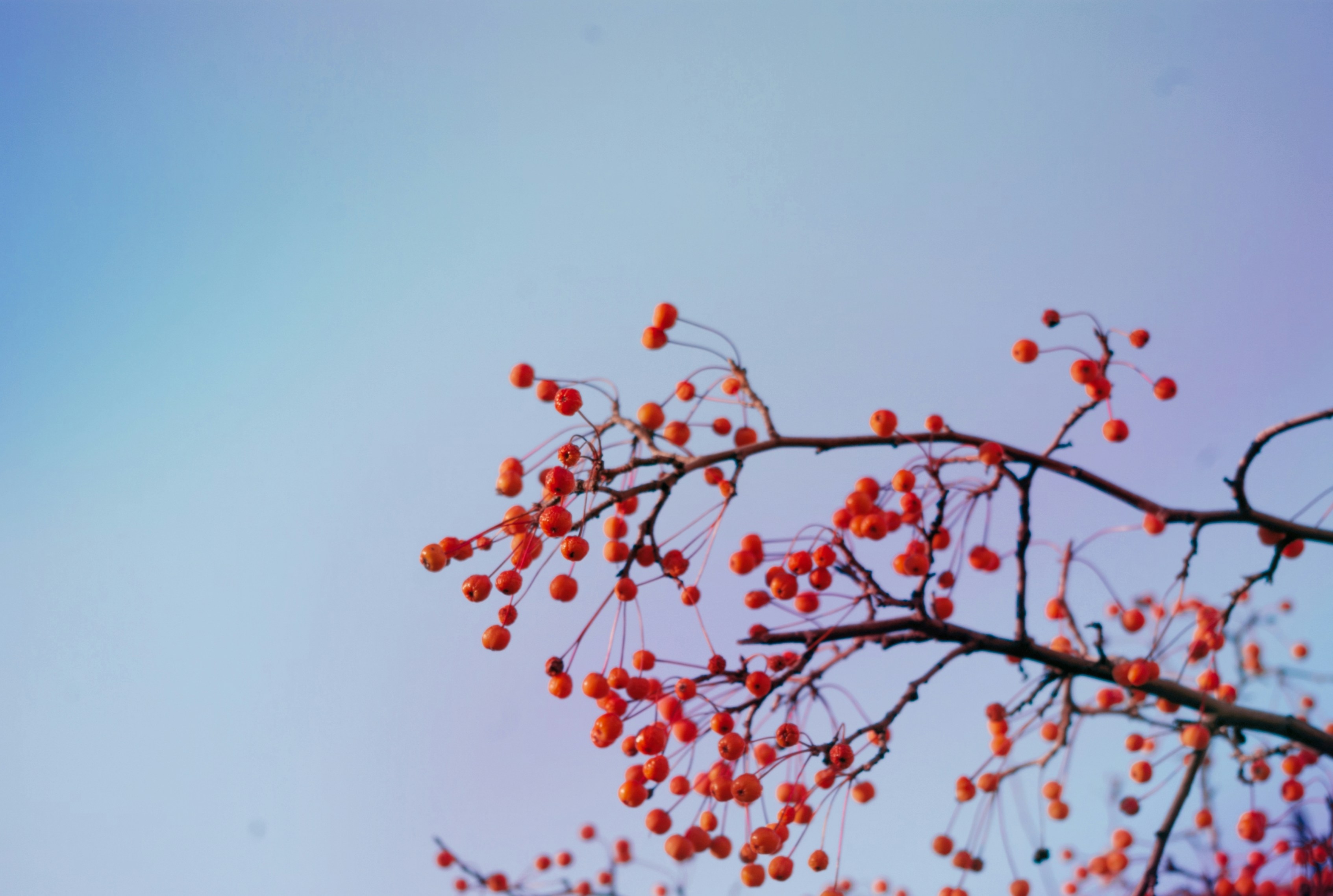 Photo by moonmoons_days