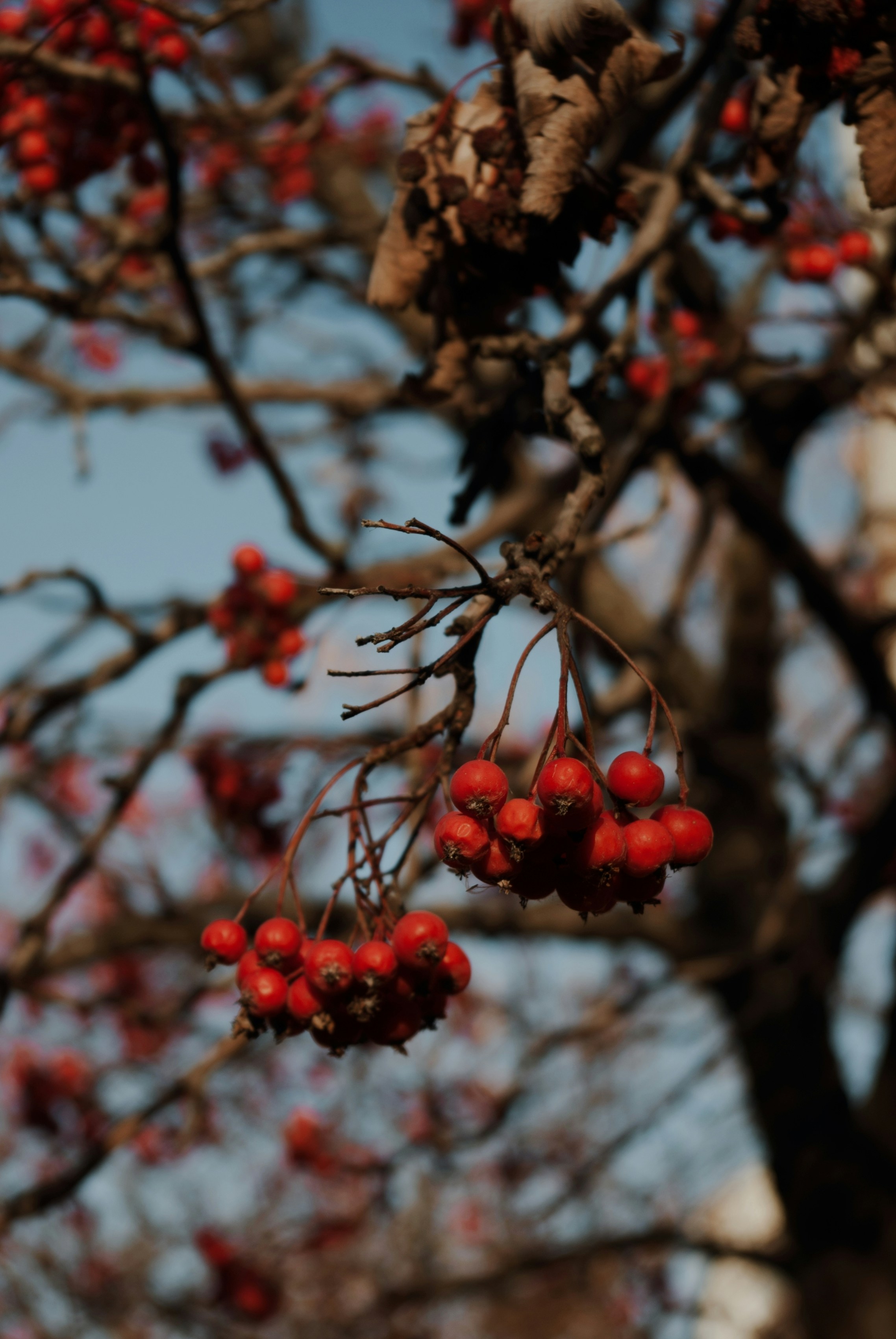 Photo by moonmoons_days