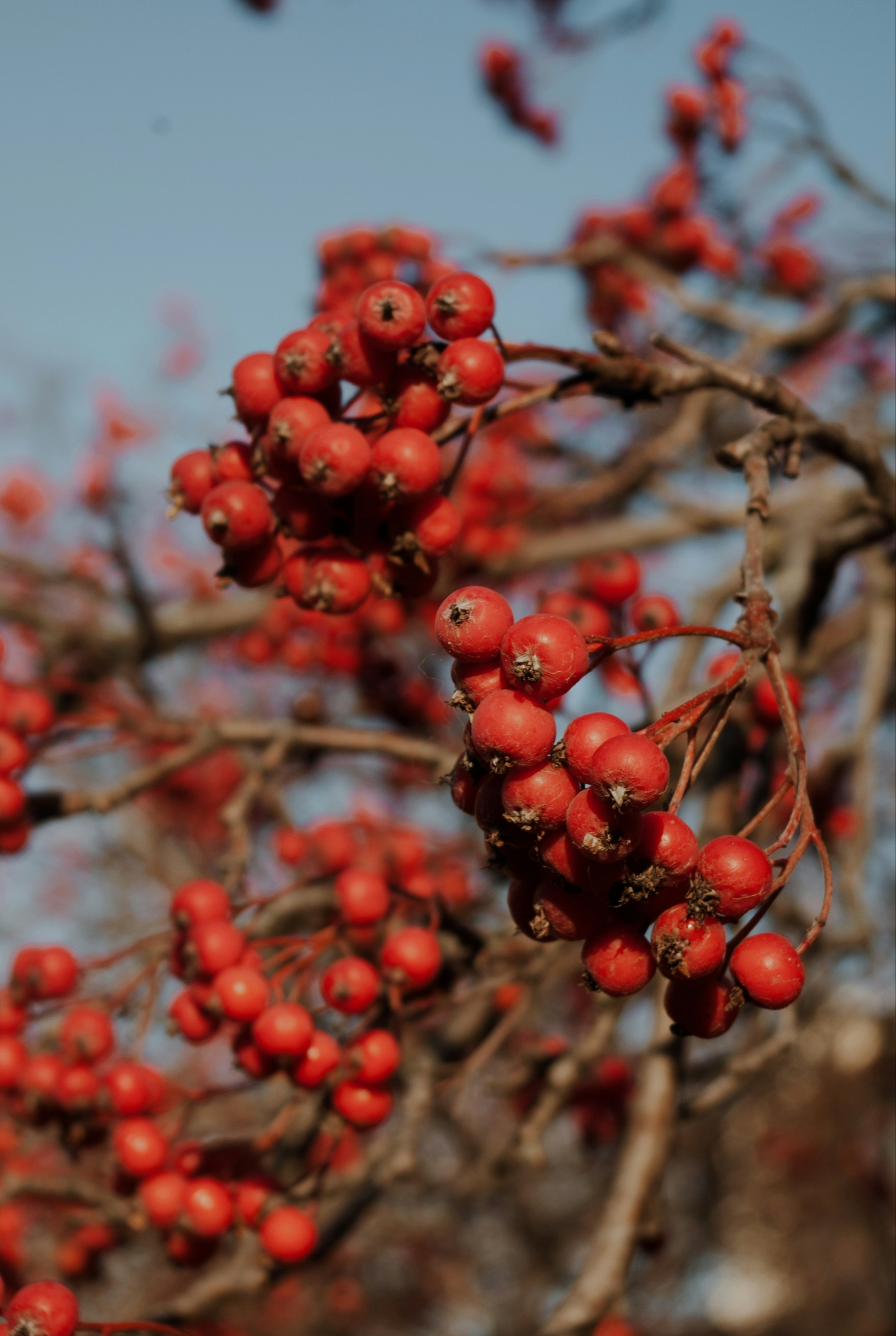 Photo by moonmoons_days