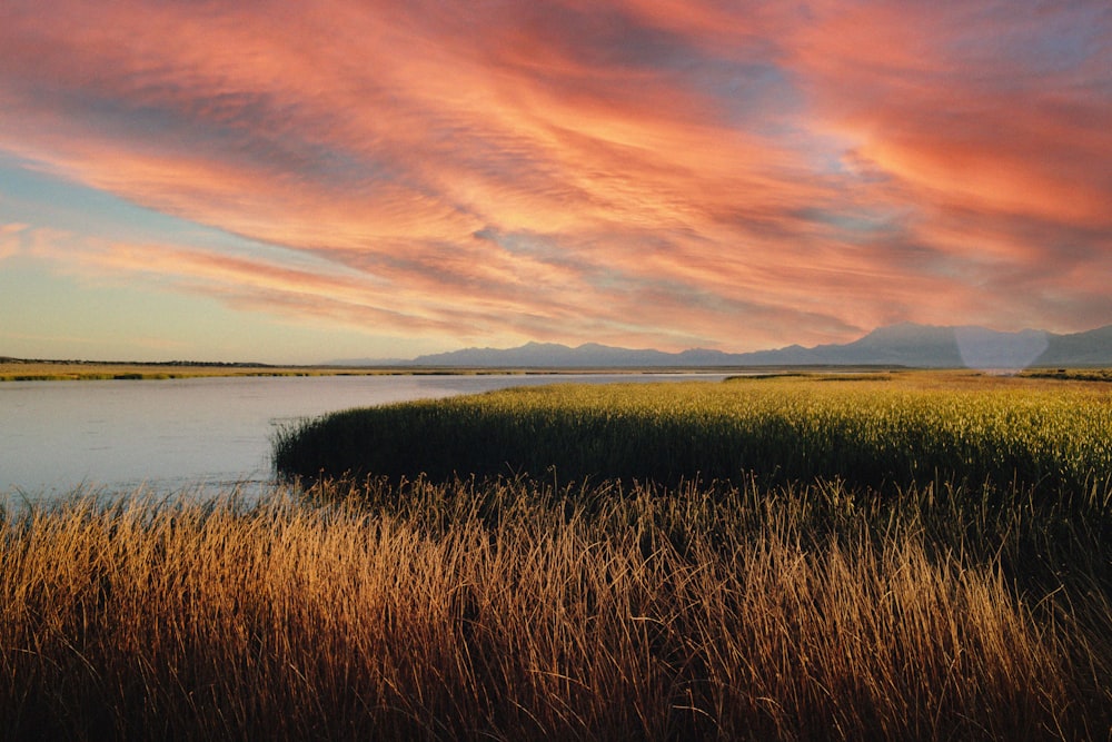a beautiful sunset over a lake with tall grass in the foreground
