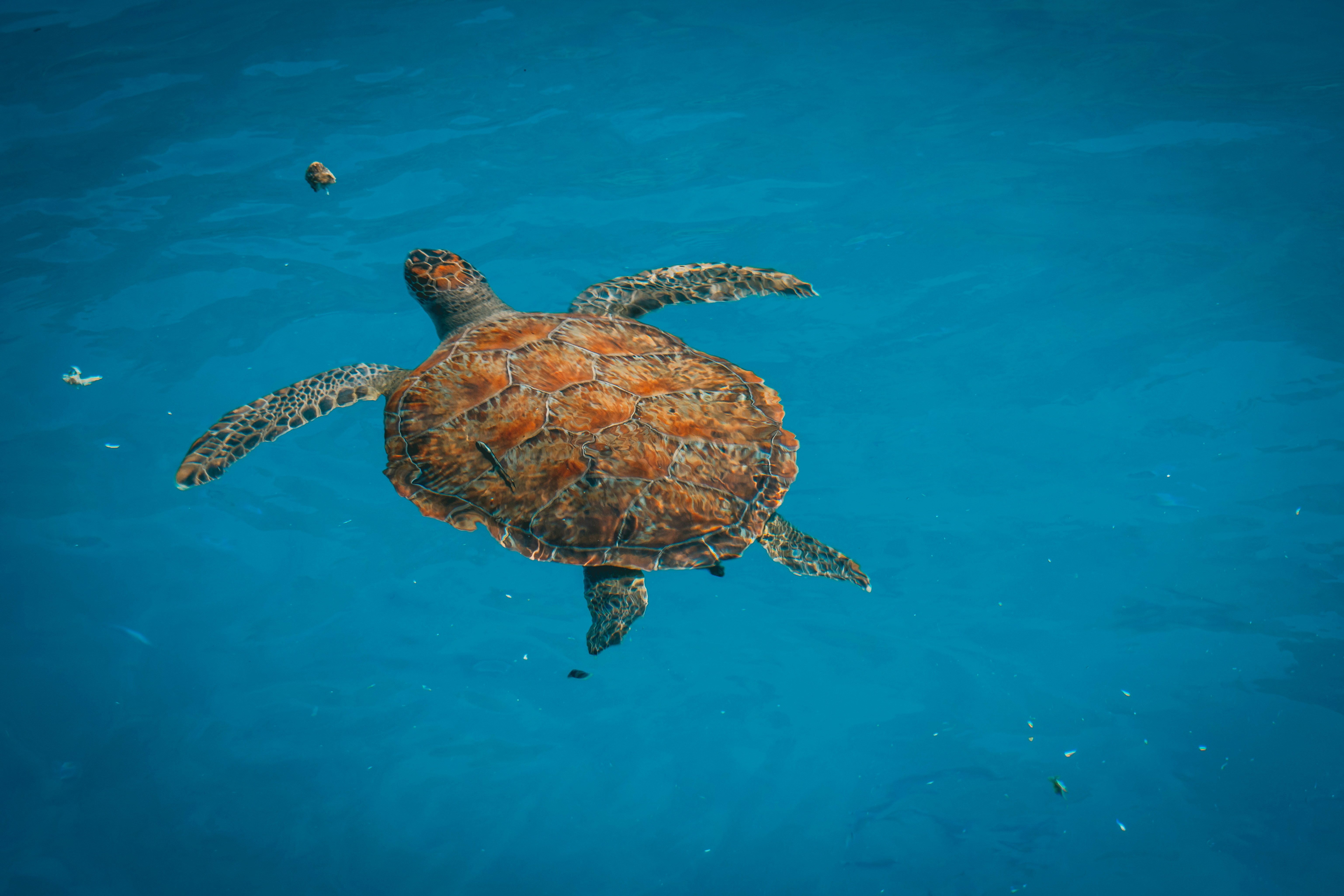 Photo by raimondklavins