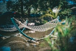 A netted hammock is suspended over a shallow body of water, surrounded by lush greenery. The background consists of trees and a stone wall with shadows cast by the sunlight. The scene conveys a sense of tranquility and relaxation, perfect for a peaceful retreat in nature.