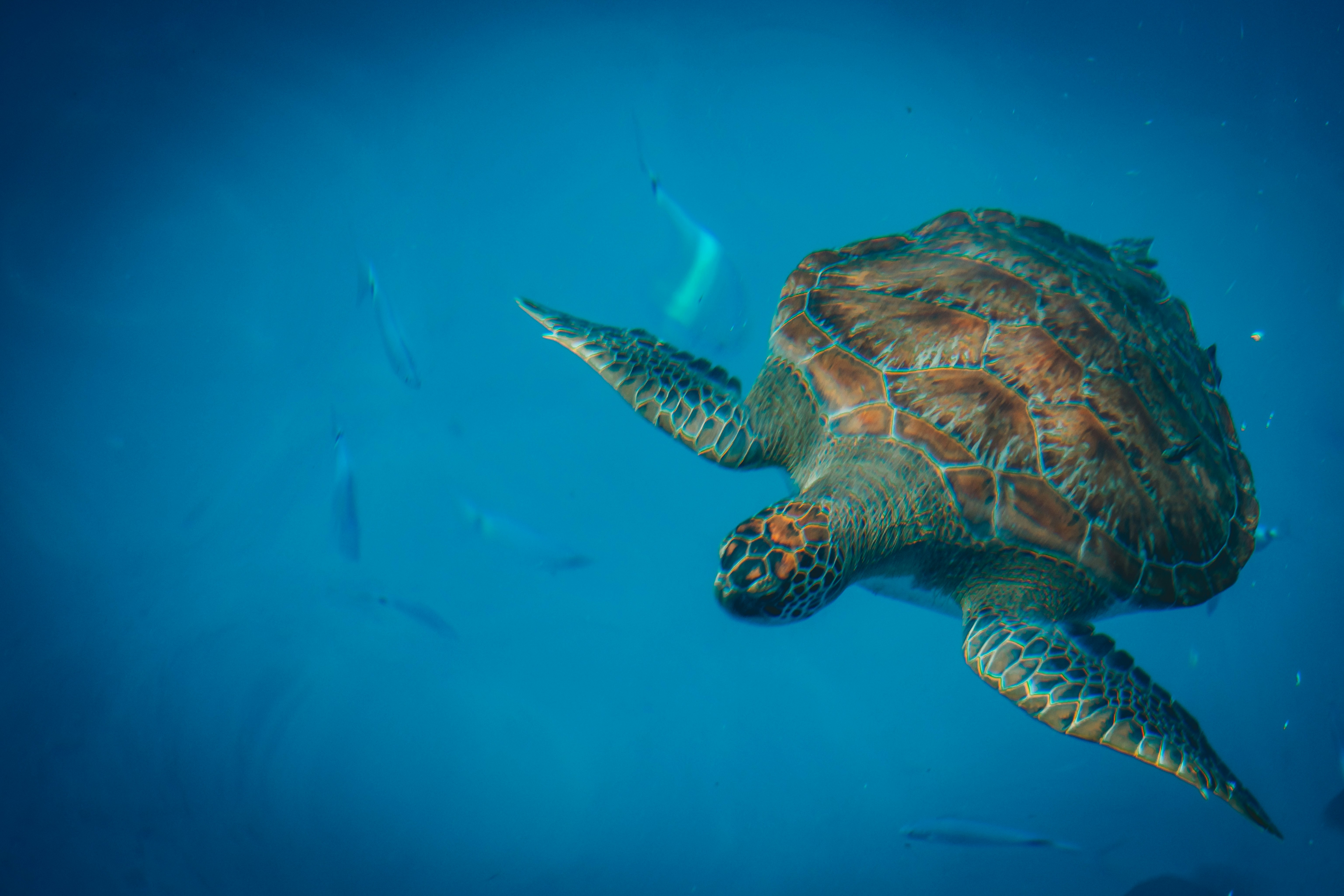 Photo by raimondklavins