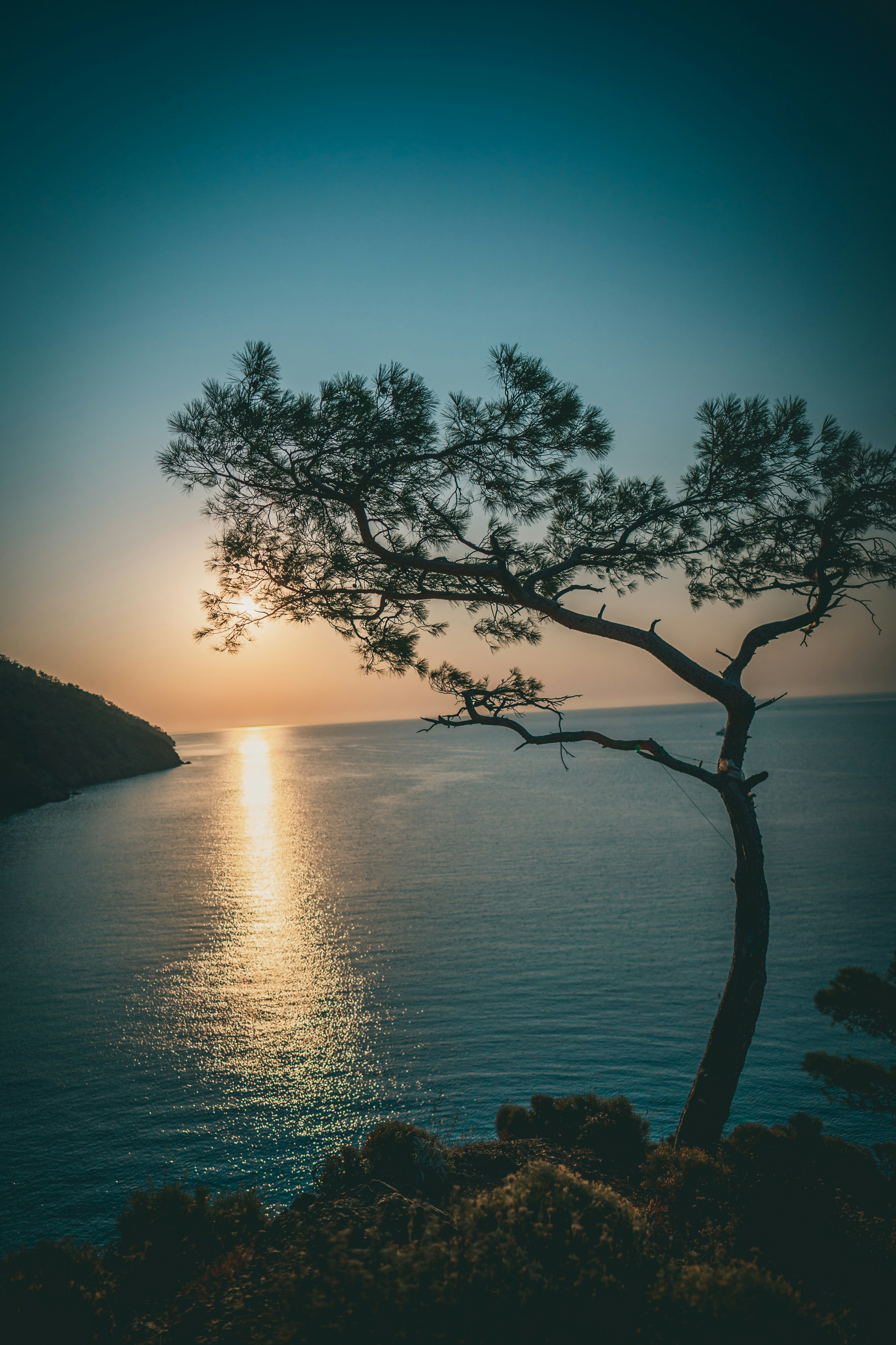 Photo by raimondklavins