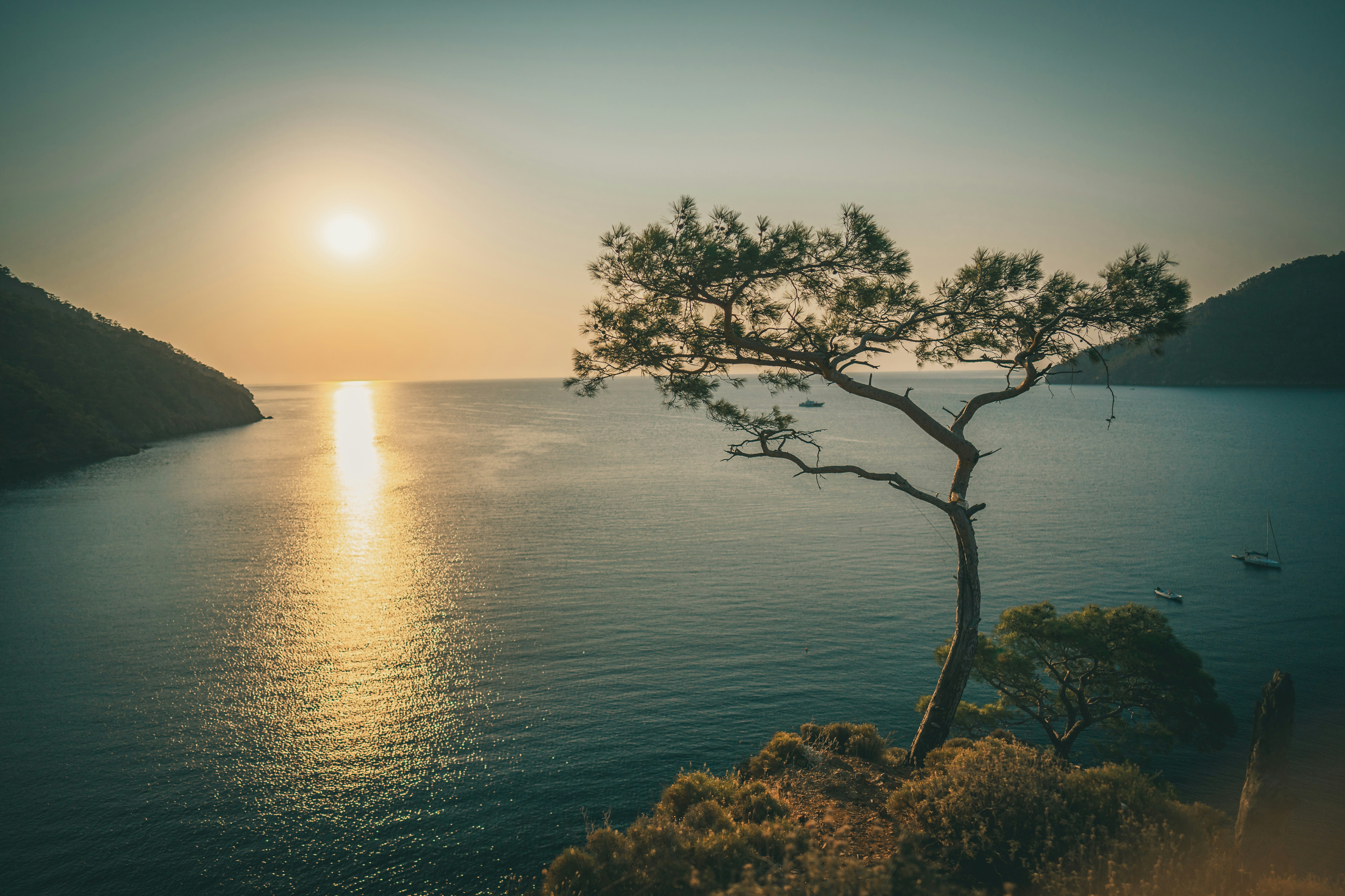 Photo by raimondklavins