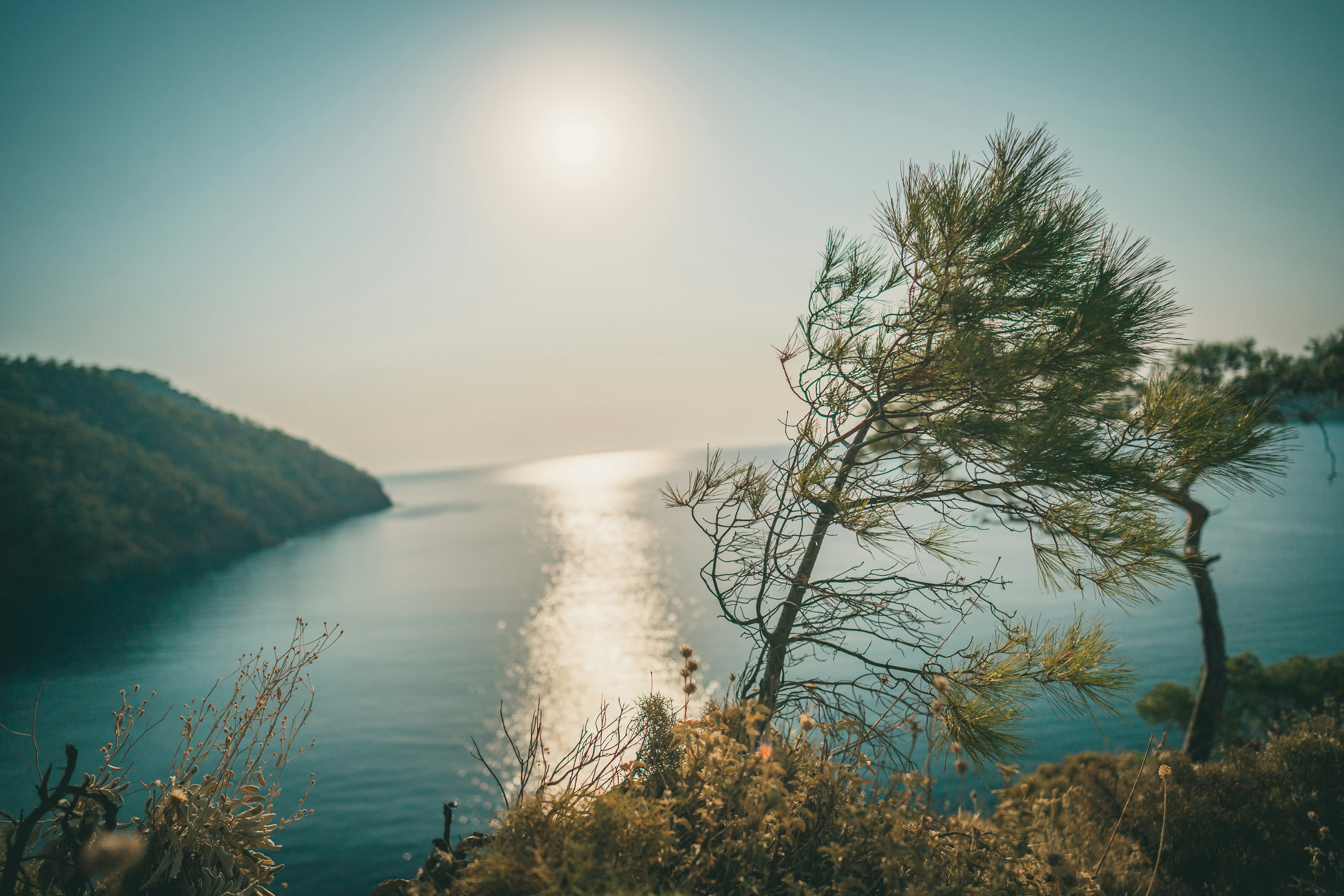 Photo by raimondklavins