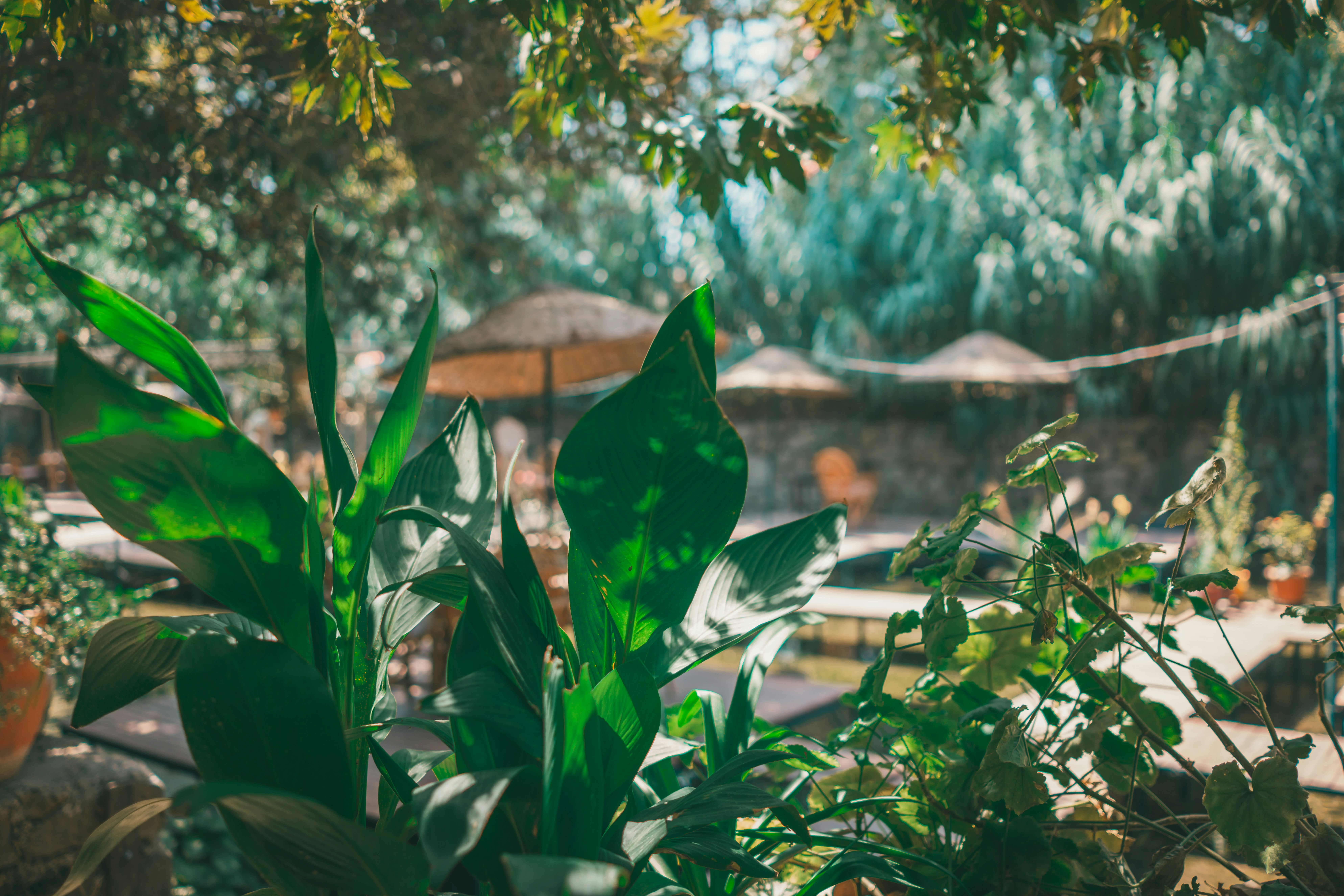 Photo by raimondklavins