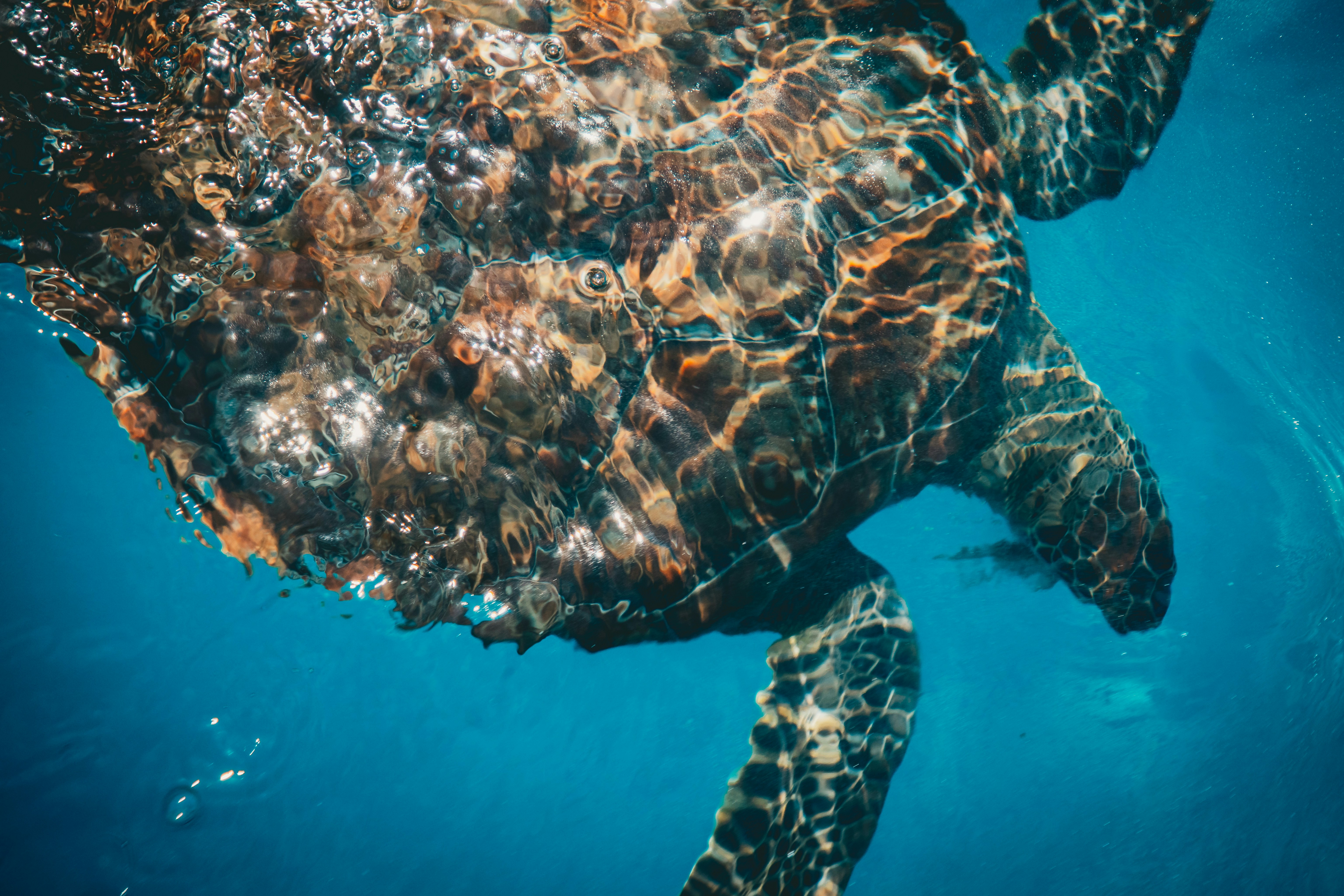 Photo by raimondklavins