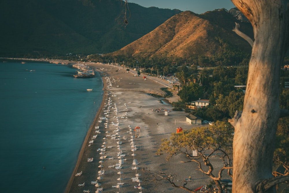 a beach with a bunch of cars parked on it