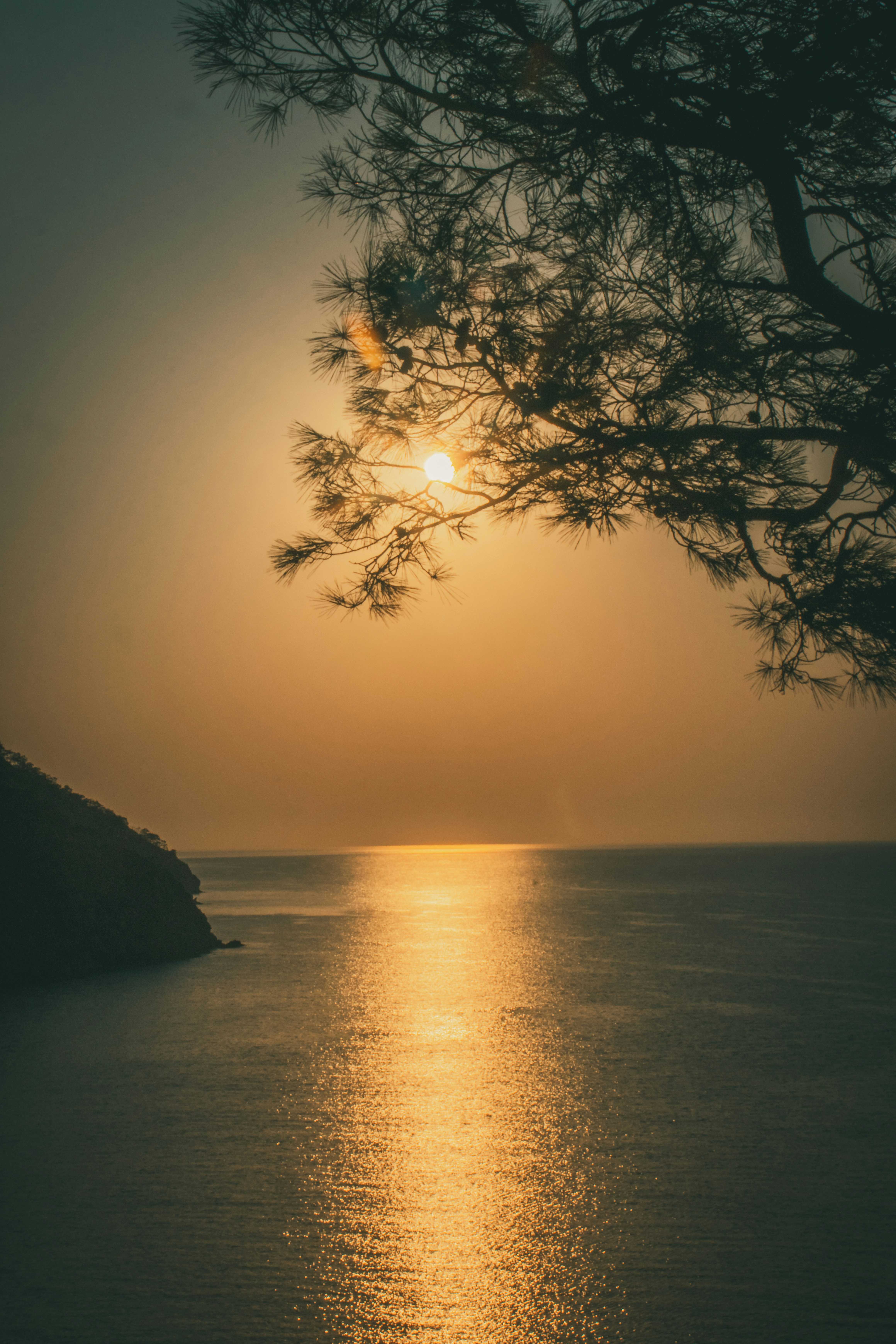 Photo by raimondklavins