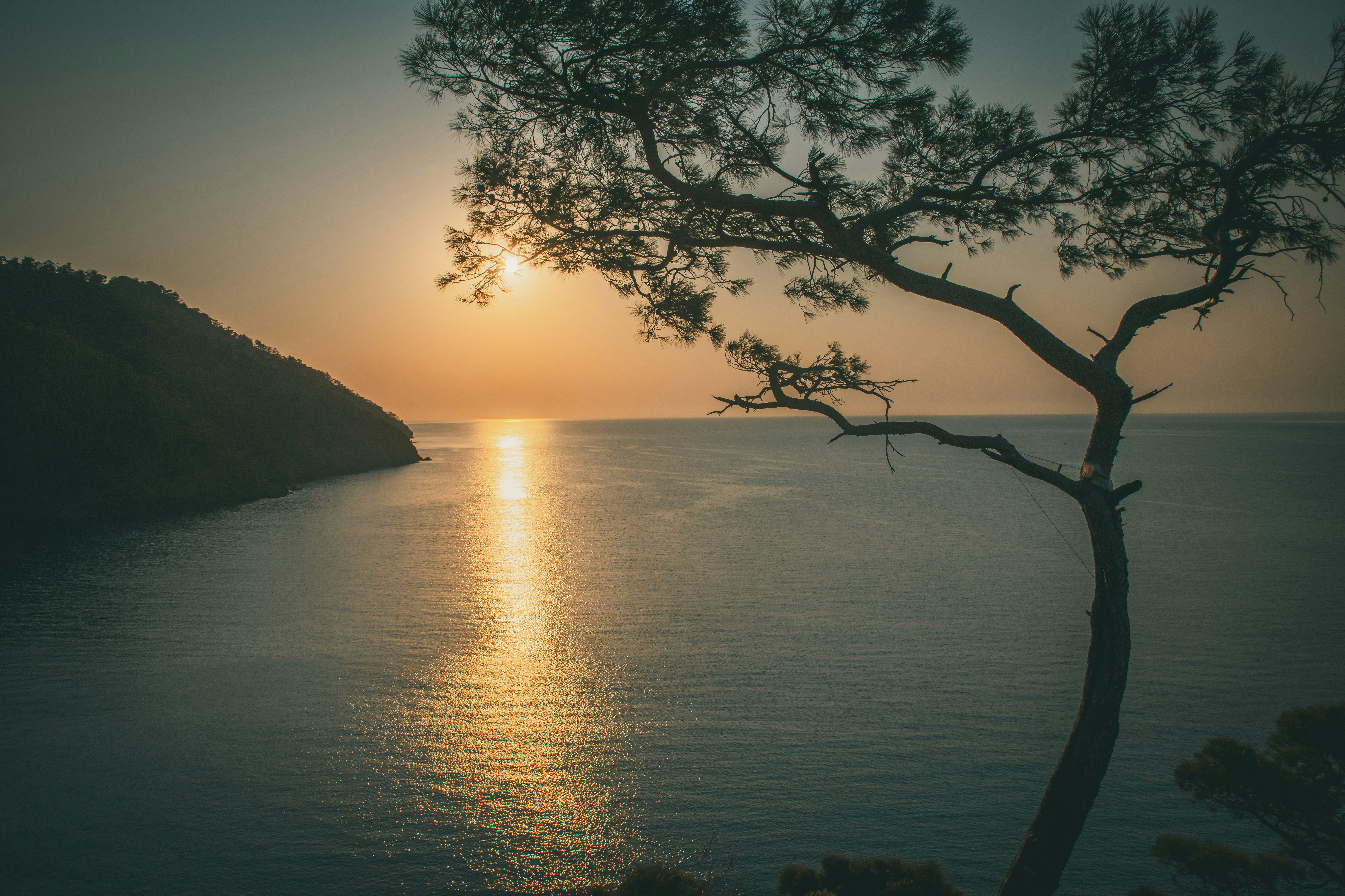 Photo by raimondklavins