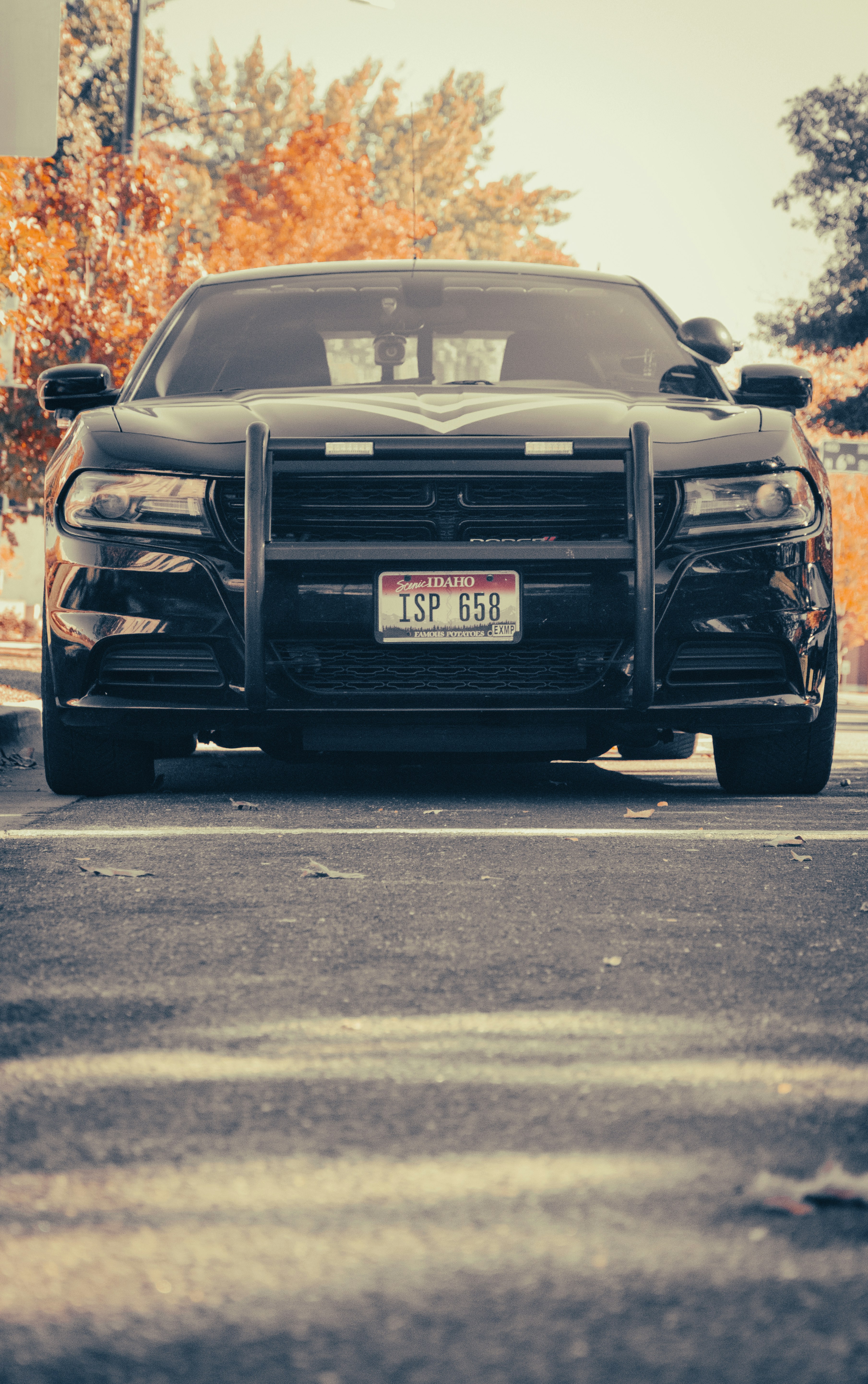 Photo by ethan_olarte