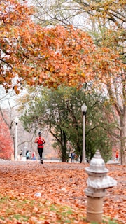 A person jogging through a sunlit park with autumn leaves falling around.