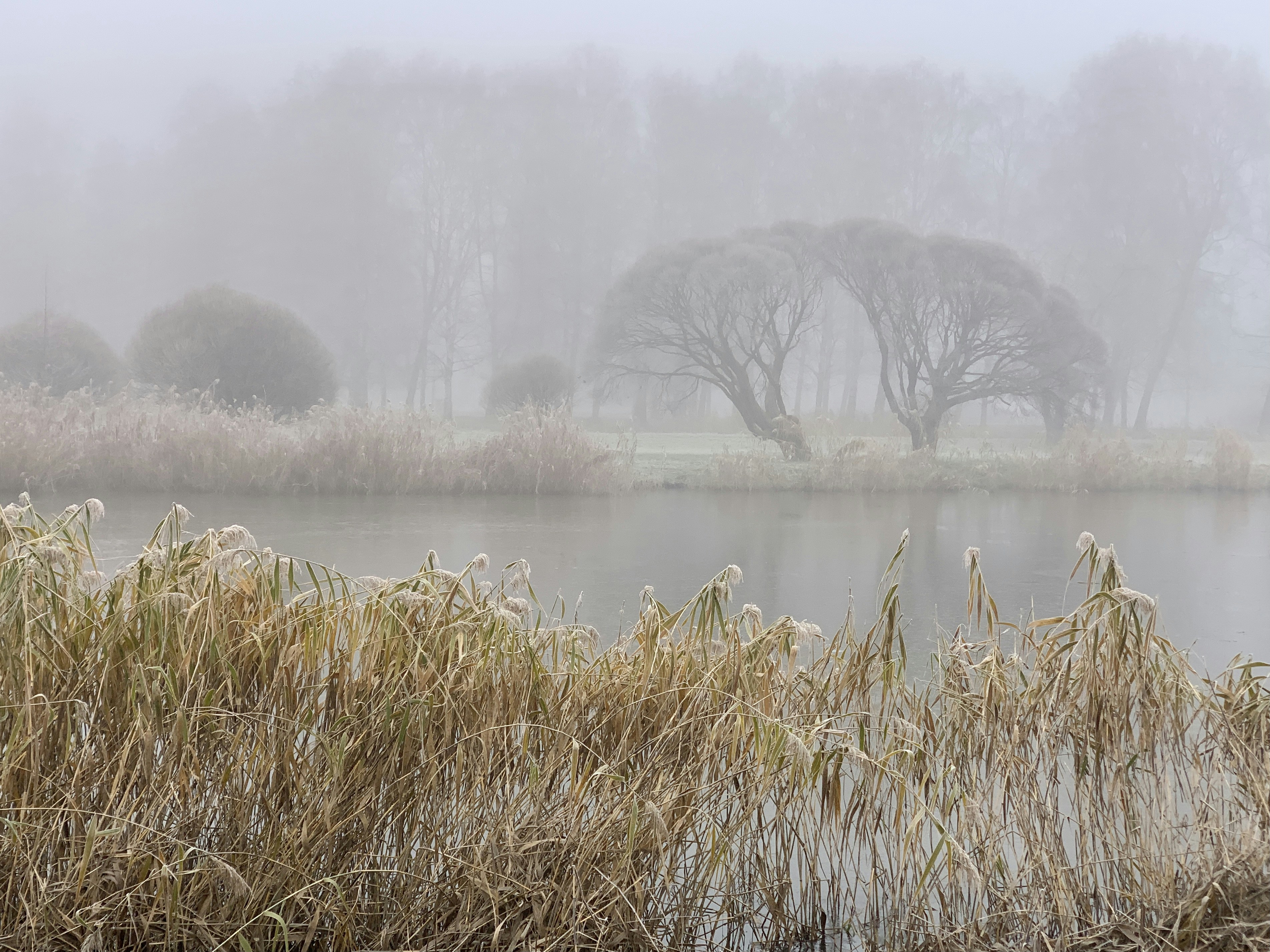 Photo by sammael_art