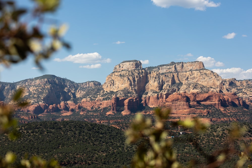 a scenic view of a mountain range with trees in the foreground