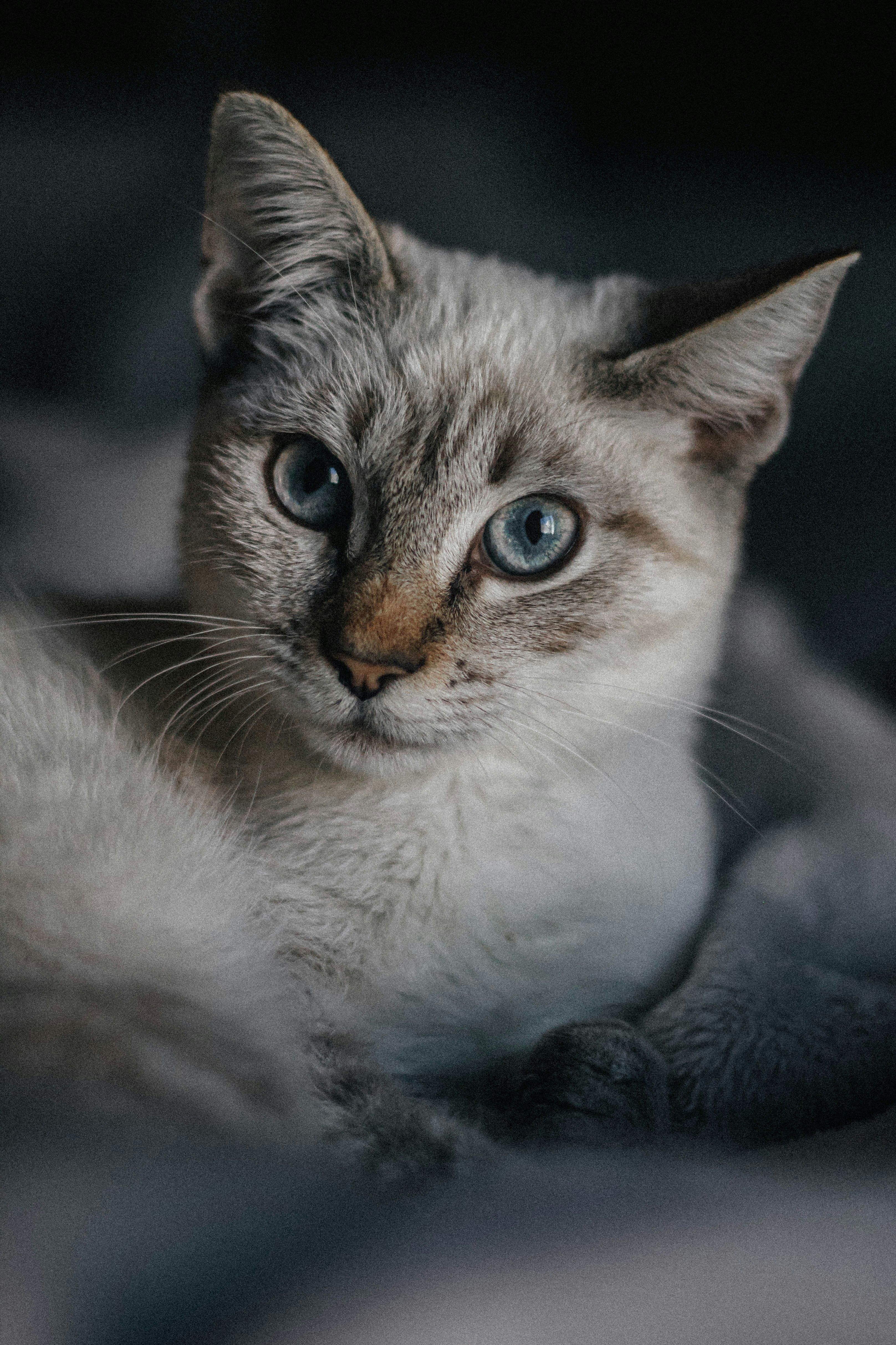 Photo by albarebecca