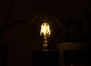 LED Bulb