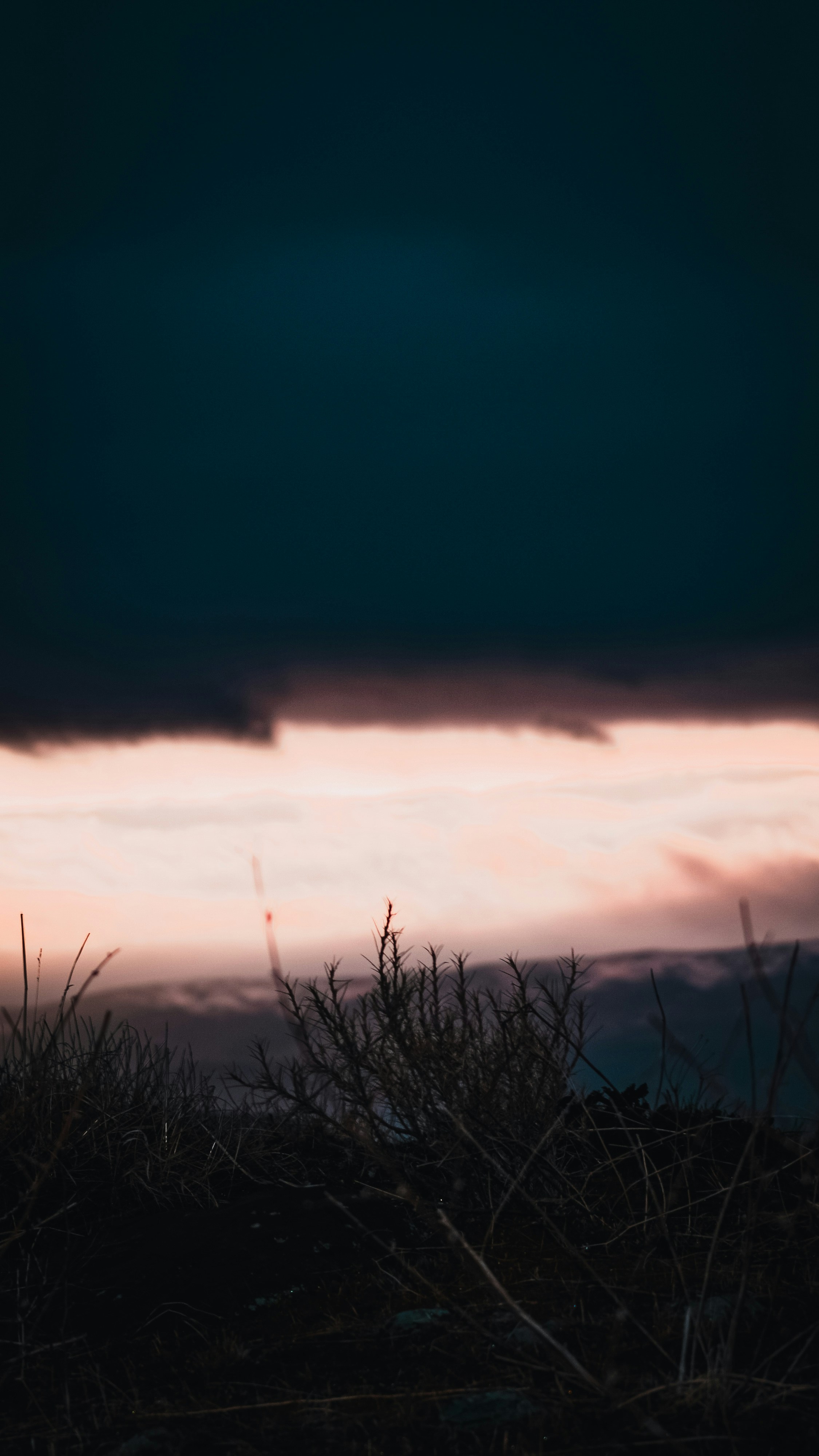 Photo by saidyigitcamlica