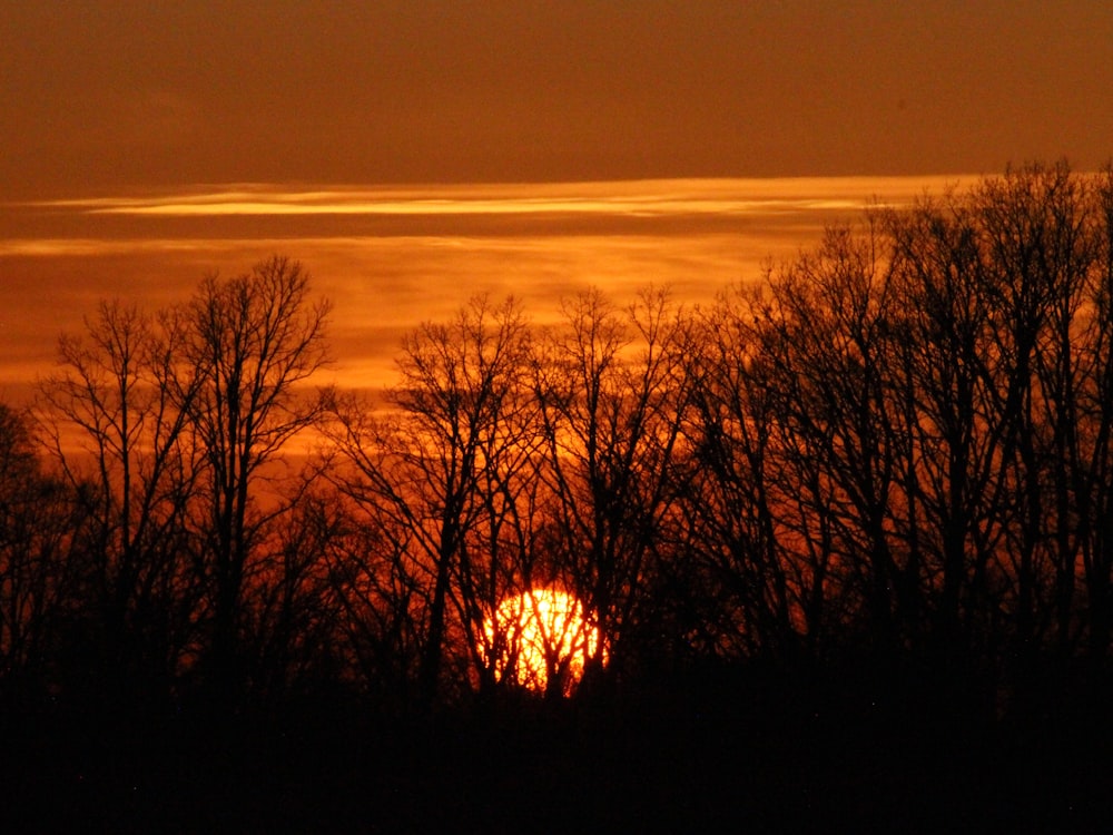 the sun is setting behind some trees