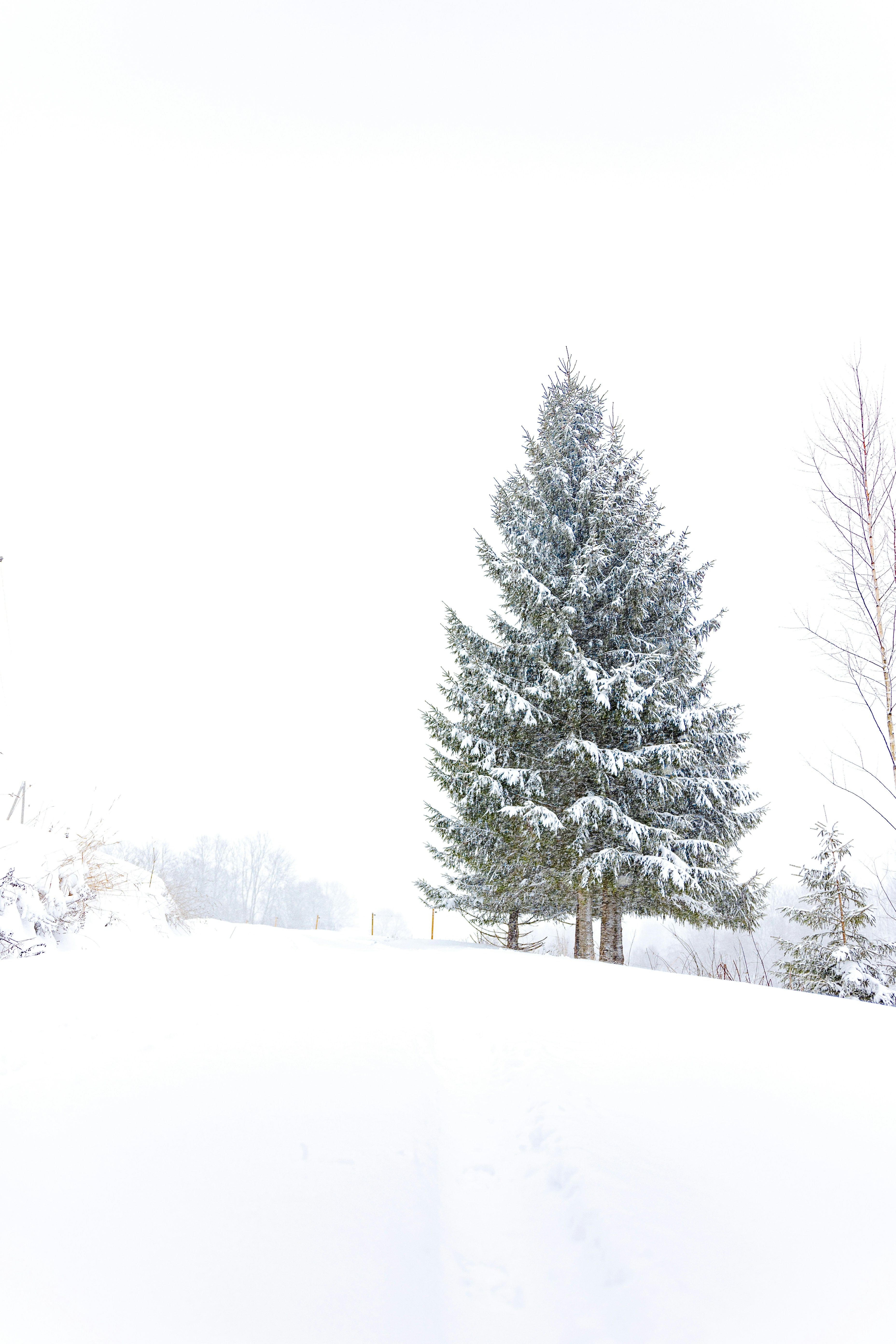 Photo by ainarscekuls