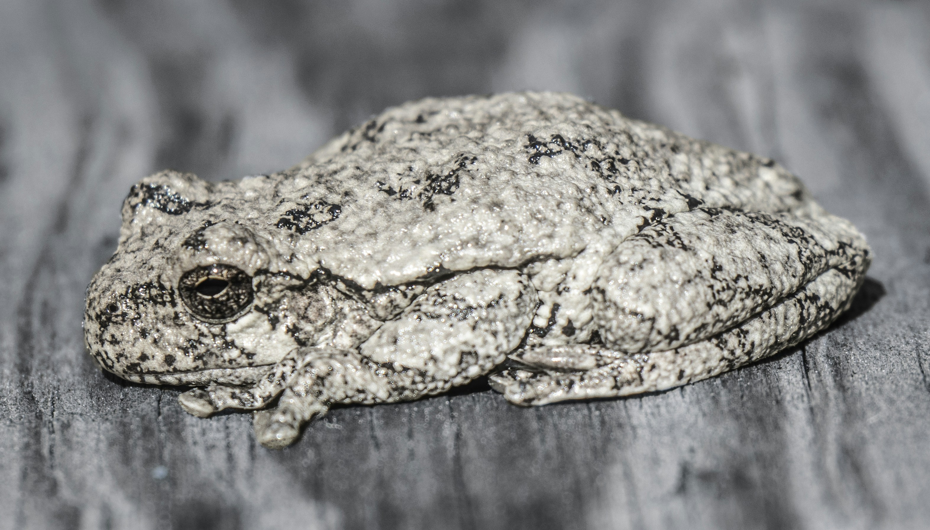 Photo by jacqueline_flock