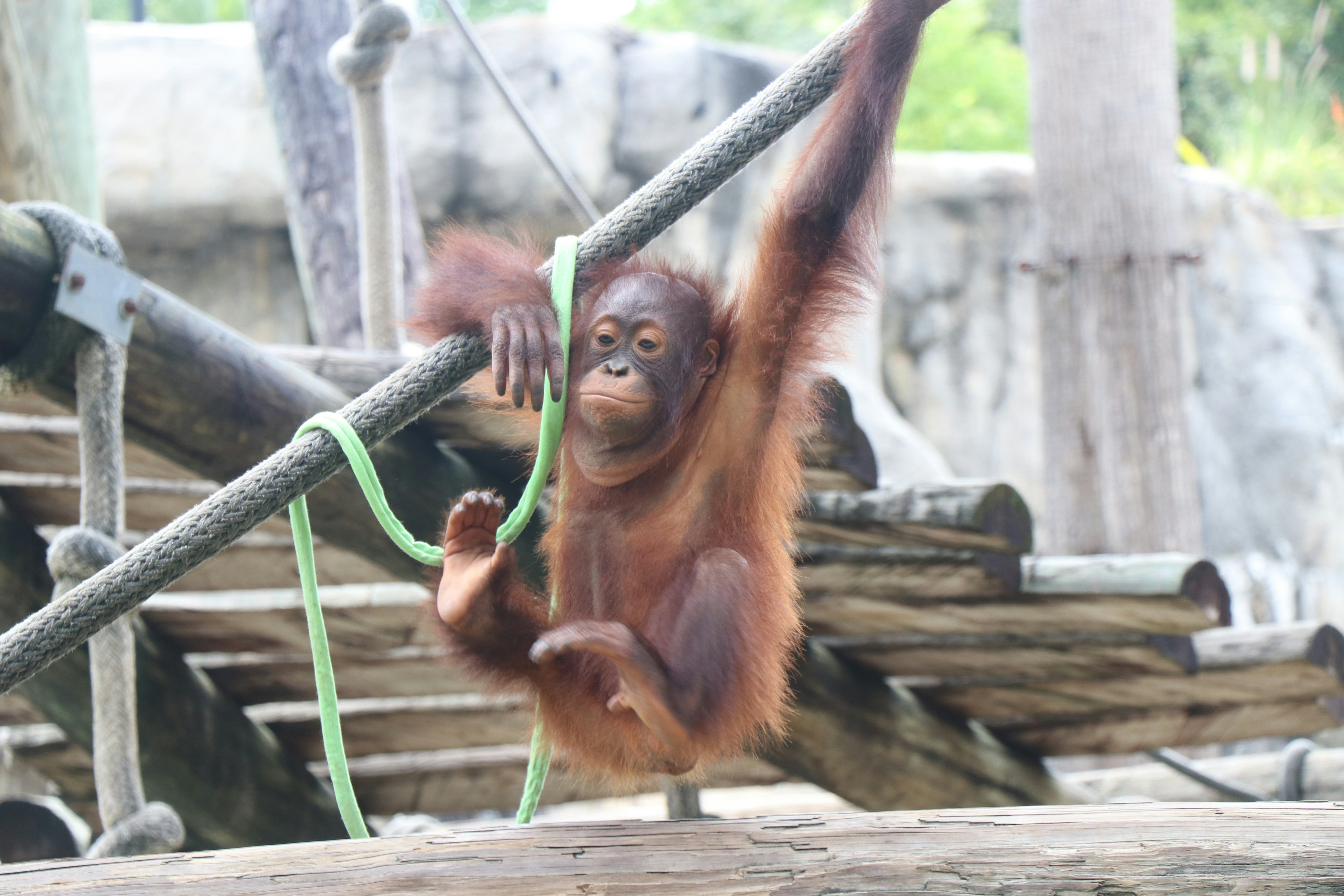 Photo by jacqueline_flock