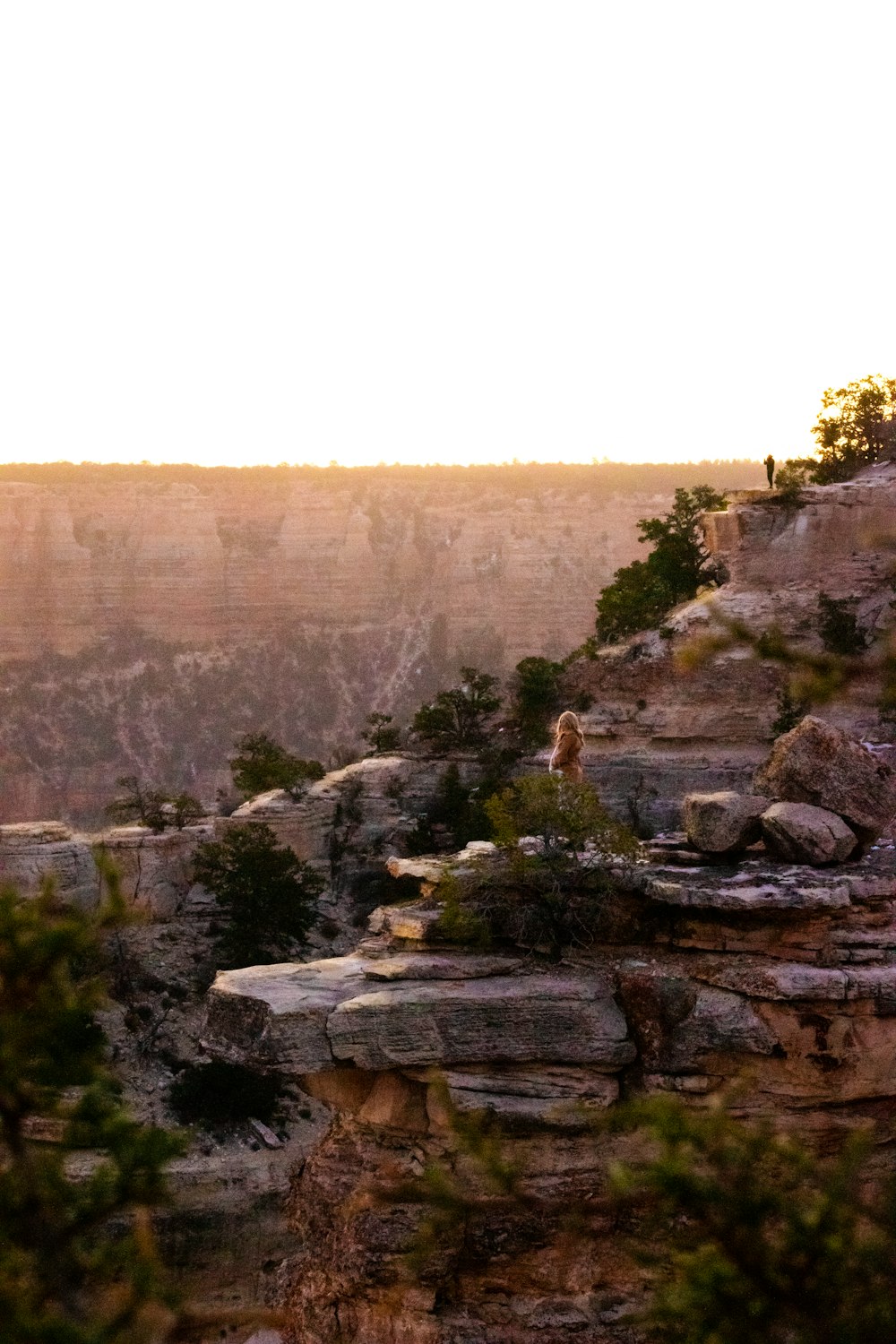 a man standing on top of a cliff next to a forest