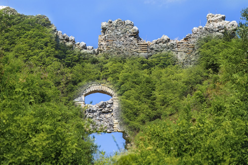 a stone wall with a hole in the middle surrounded by trees