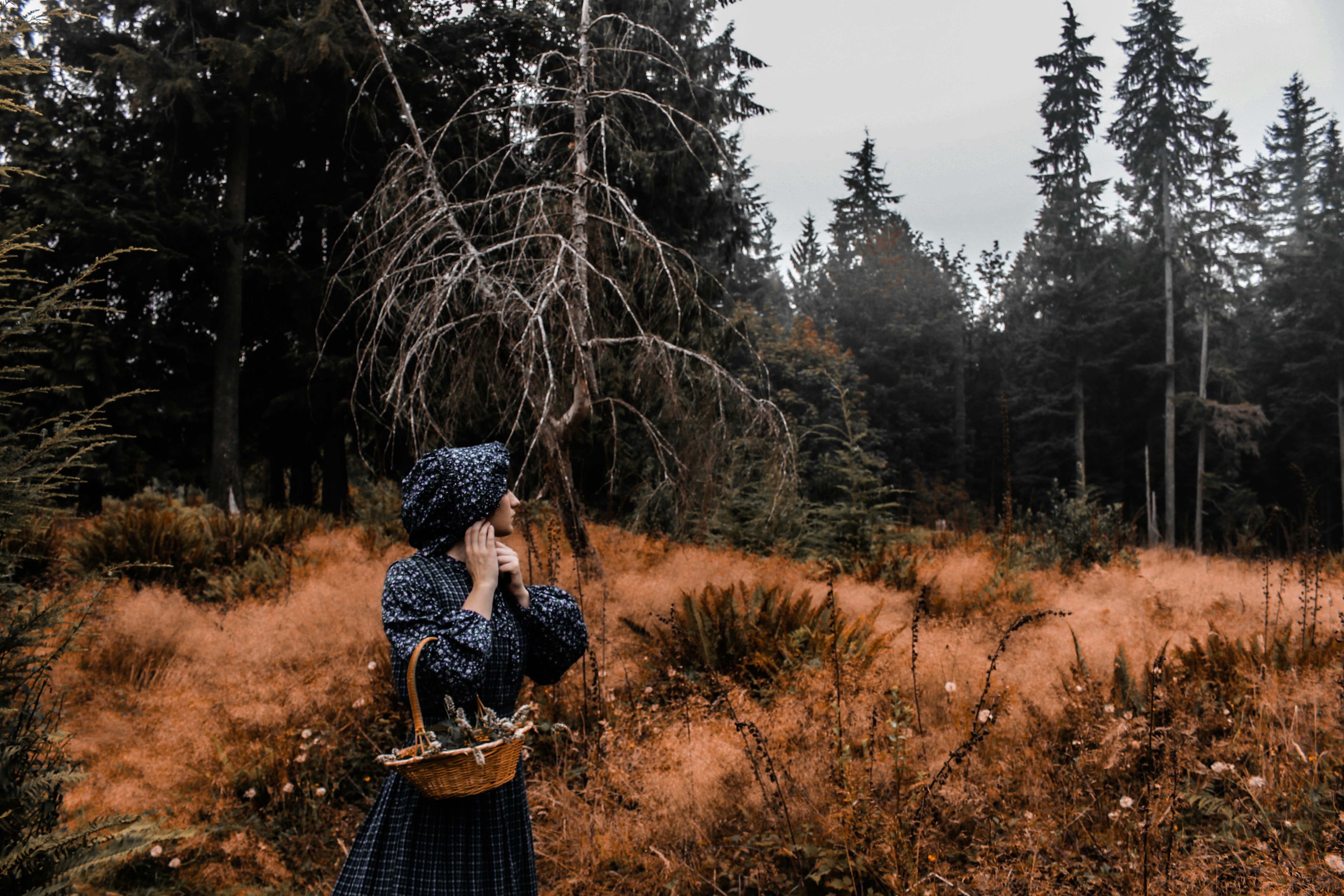 Pioneer woman in summer field with a background of evergreen trees.