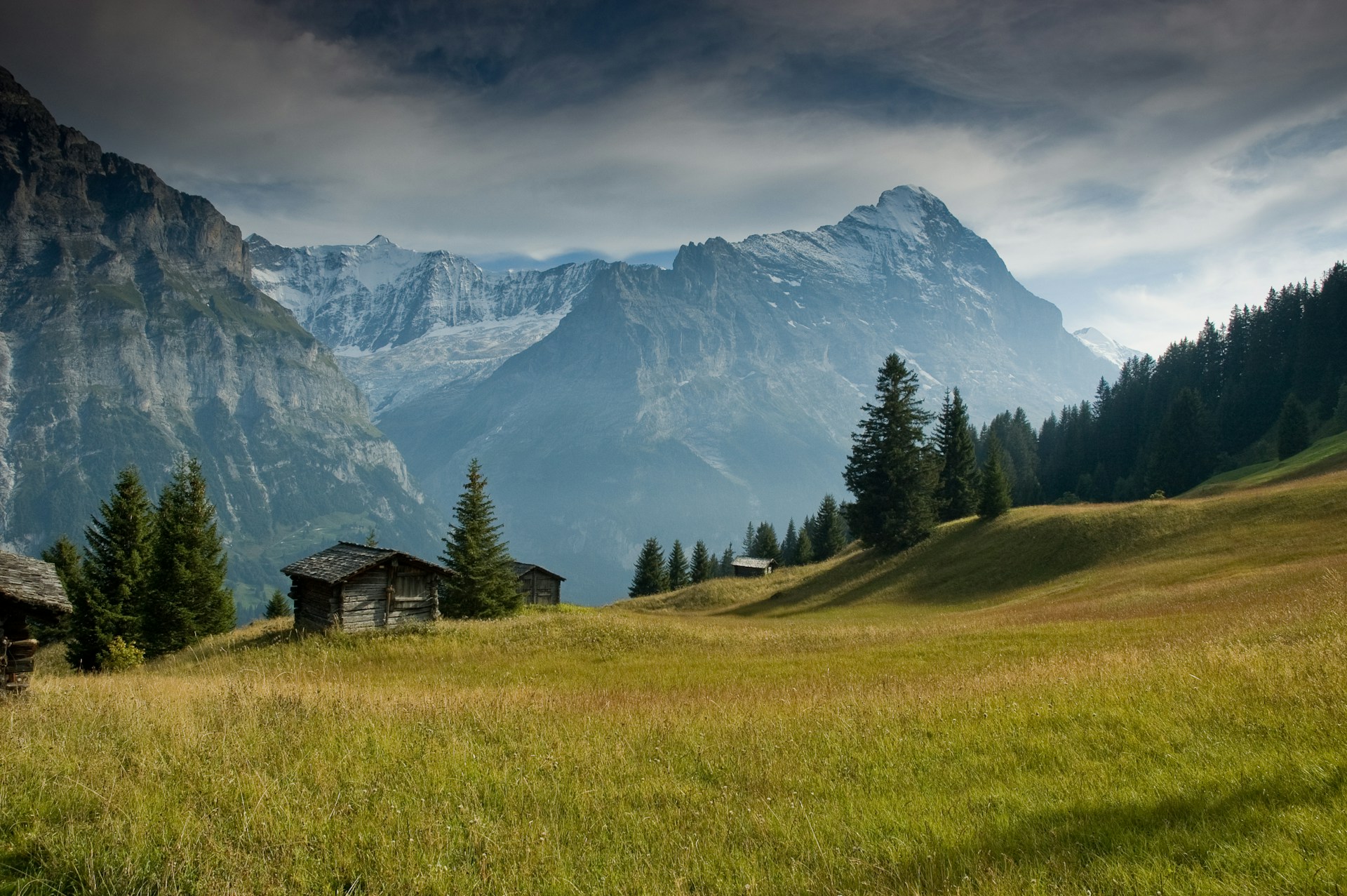 a grassy field in front of a mountain range